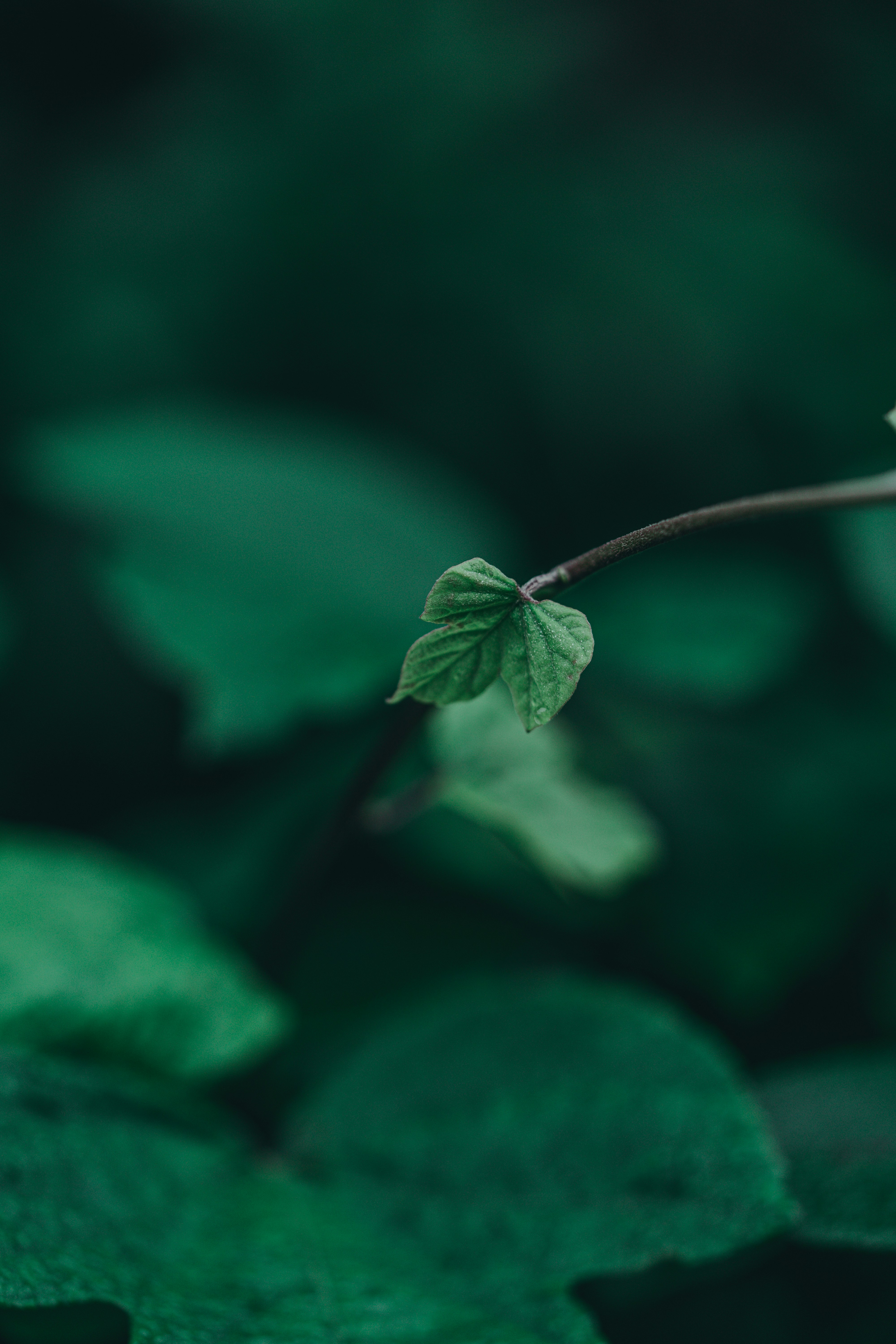 Photo by countingframez