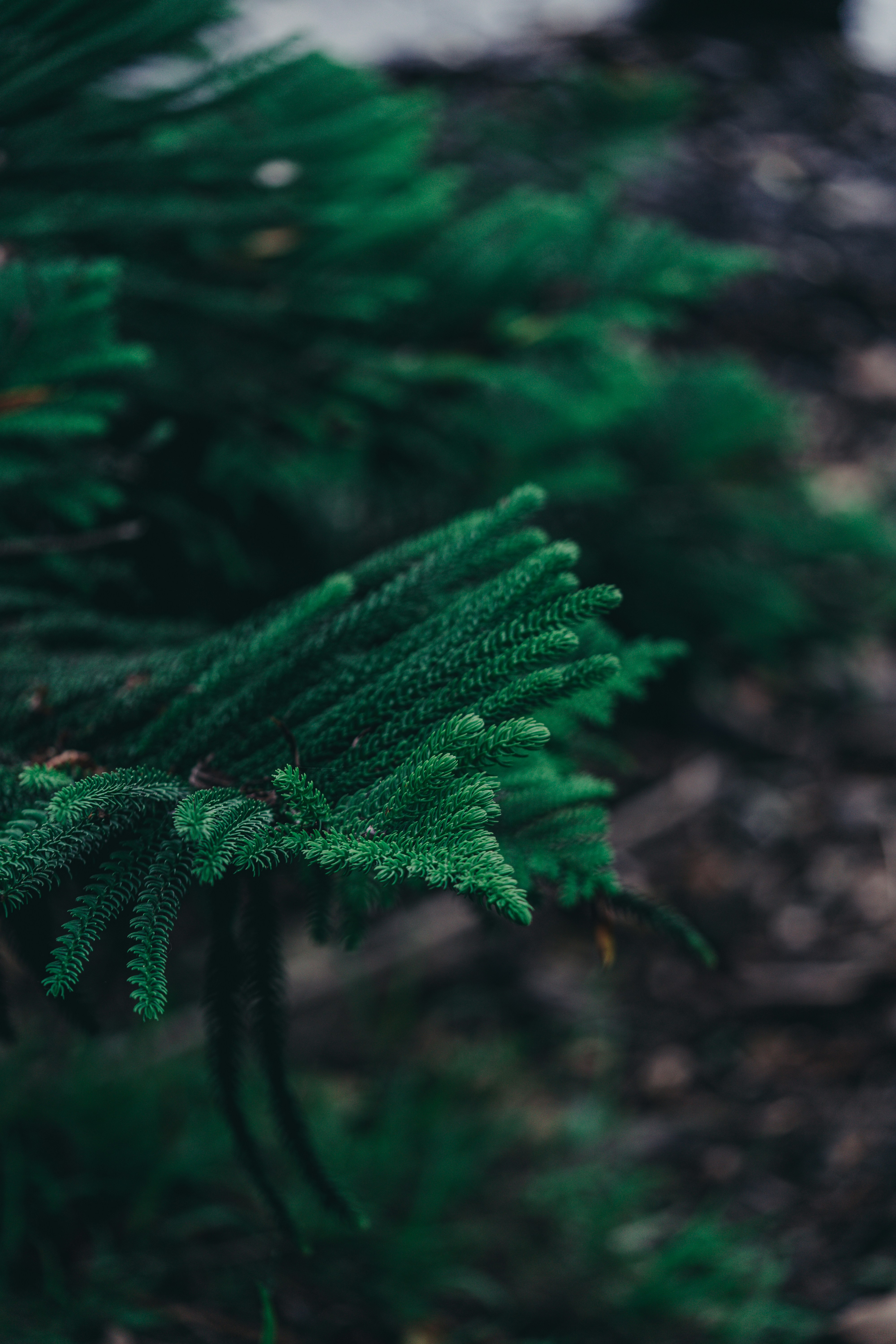 Photo by countingframez