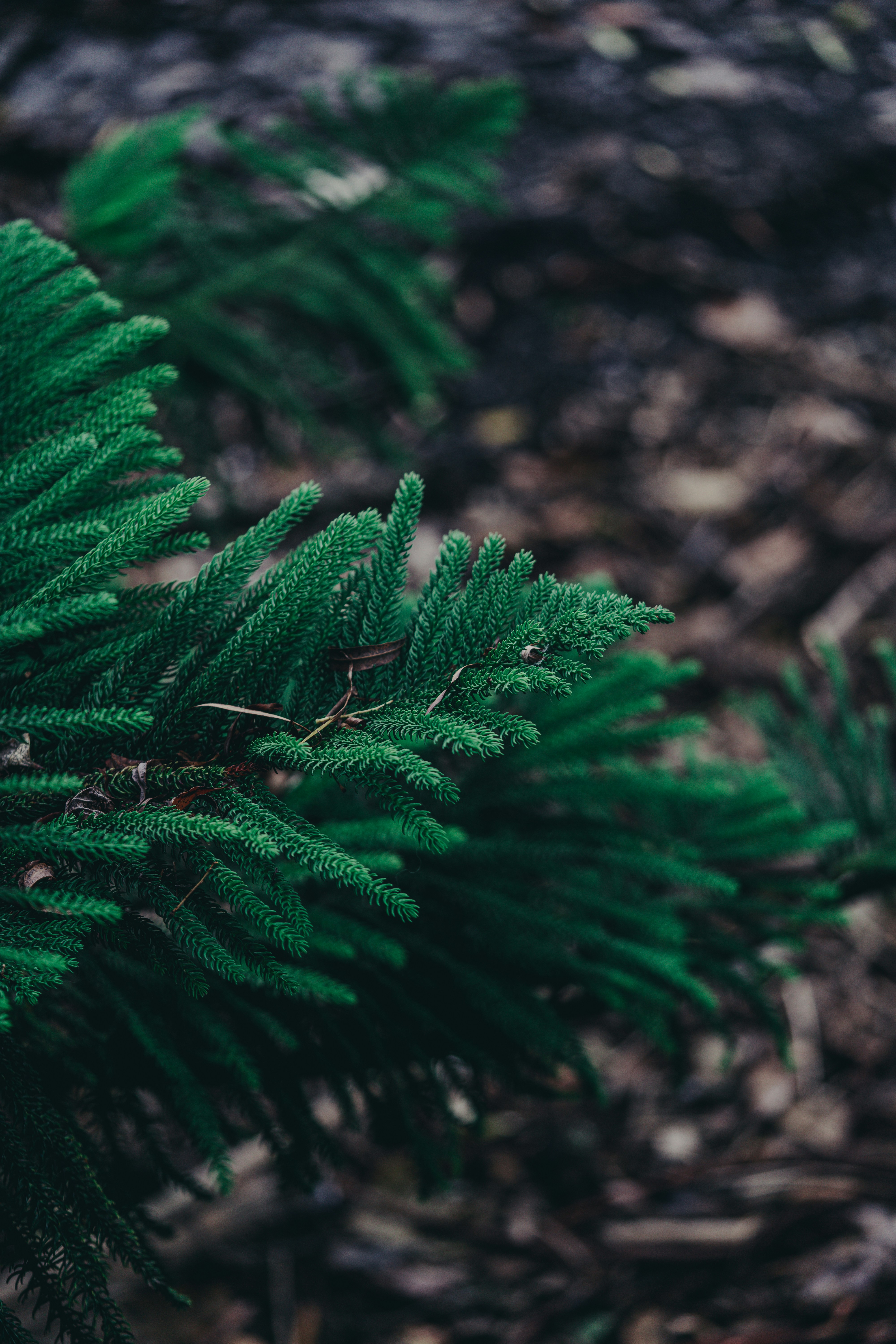 Photo by countingframez