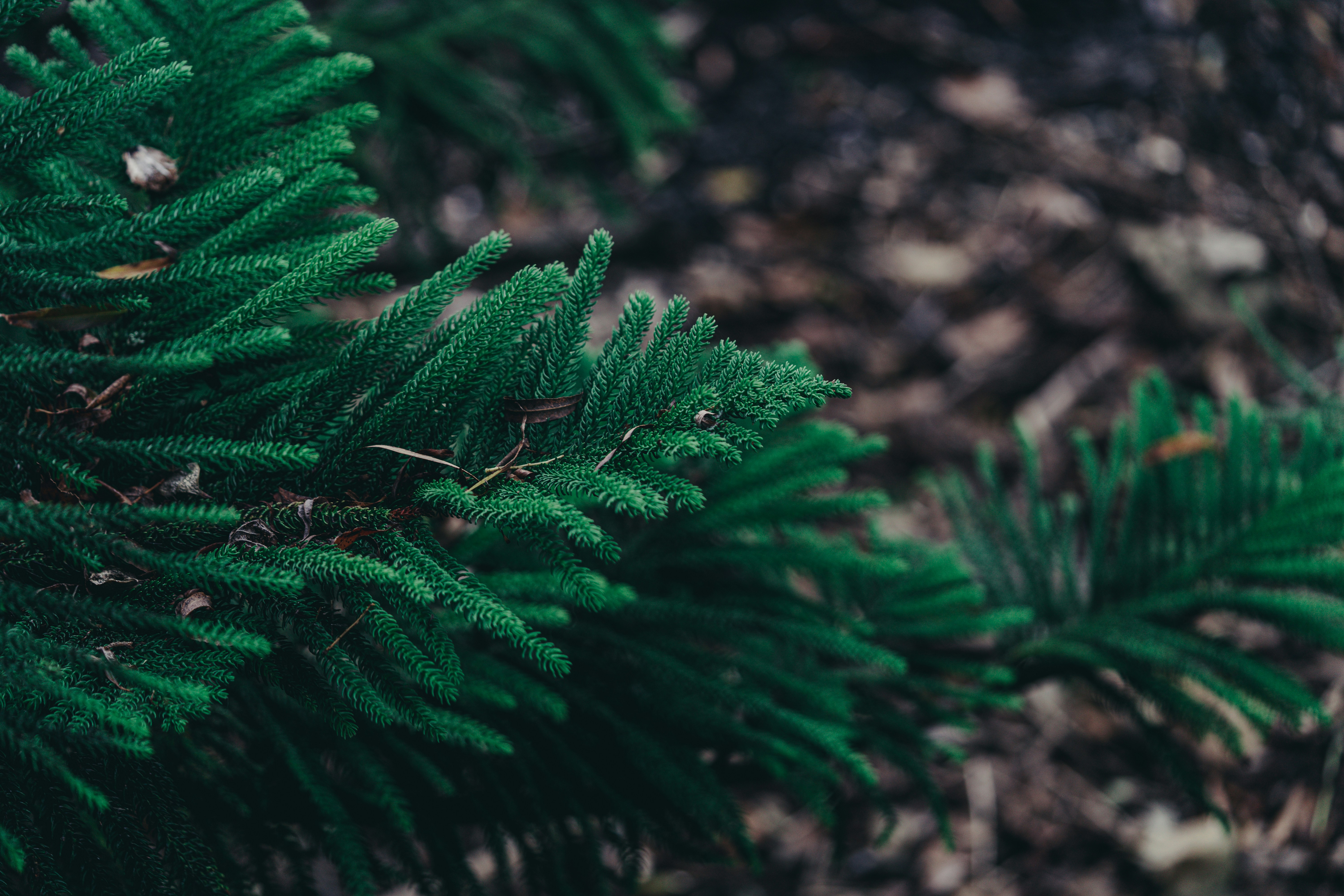 Photo by countingframez