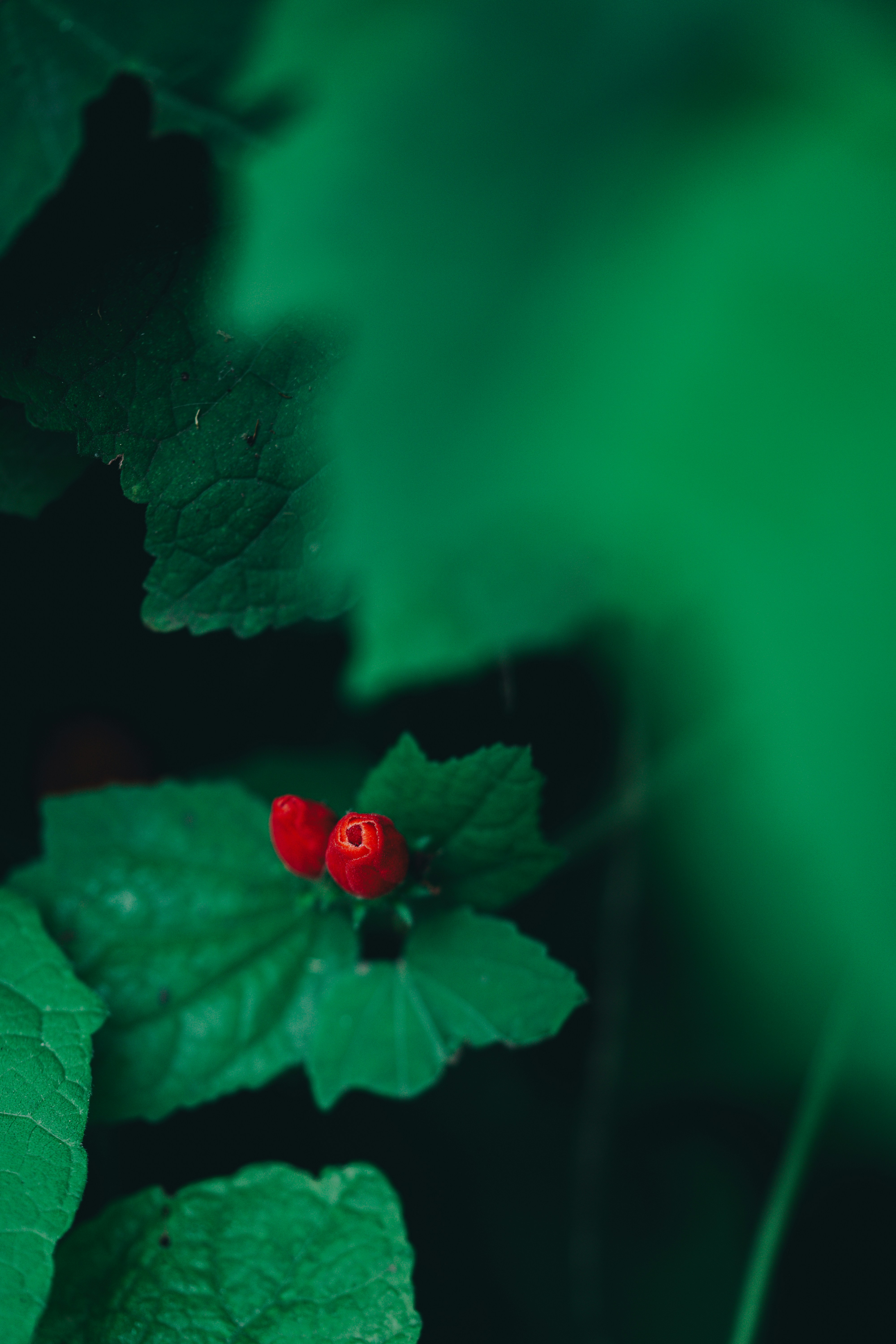 Photo by countingframez