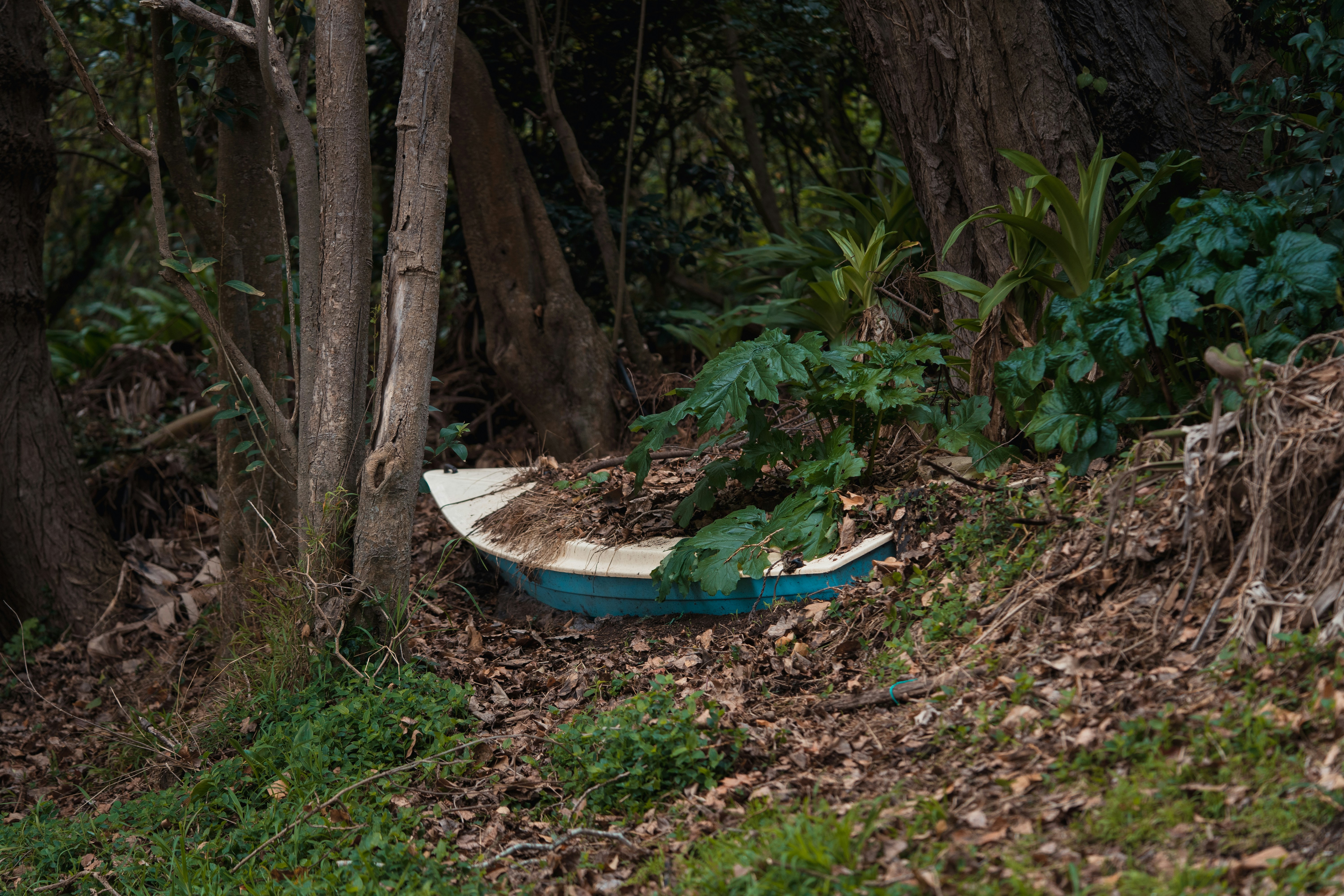 Photo by countingframez