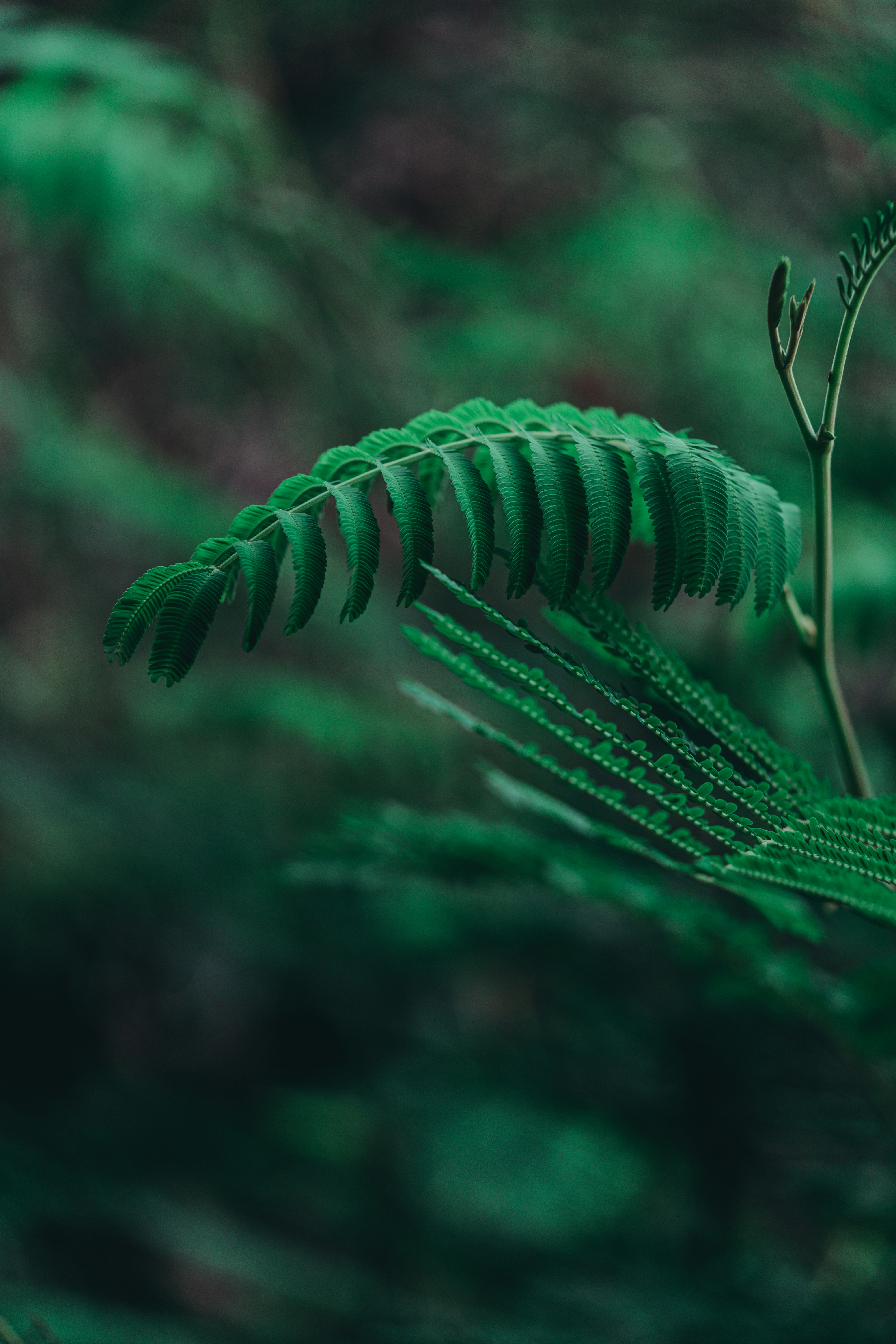 Photo by countingframez