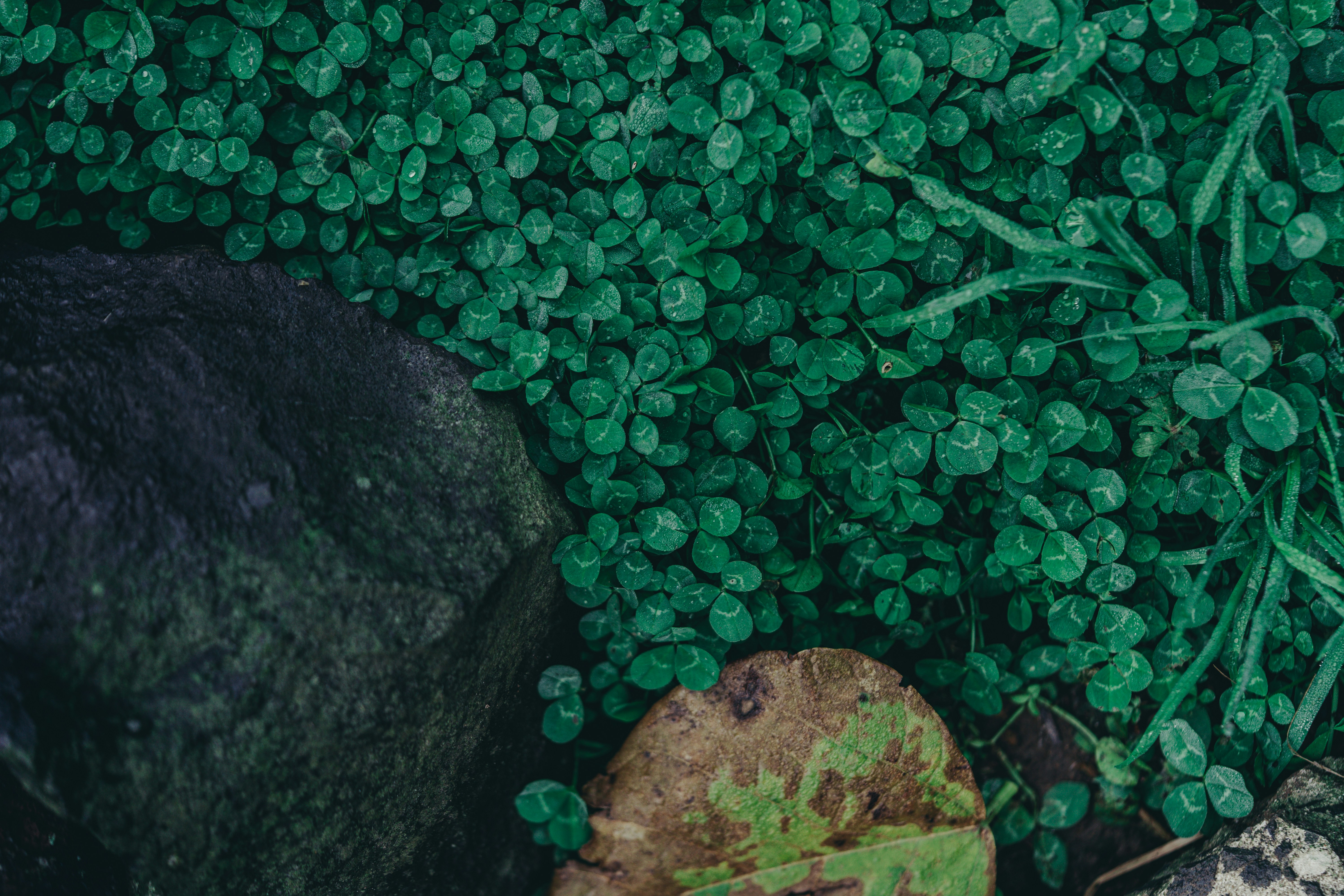 Photo by countingframez