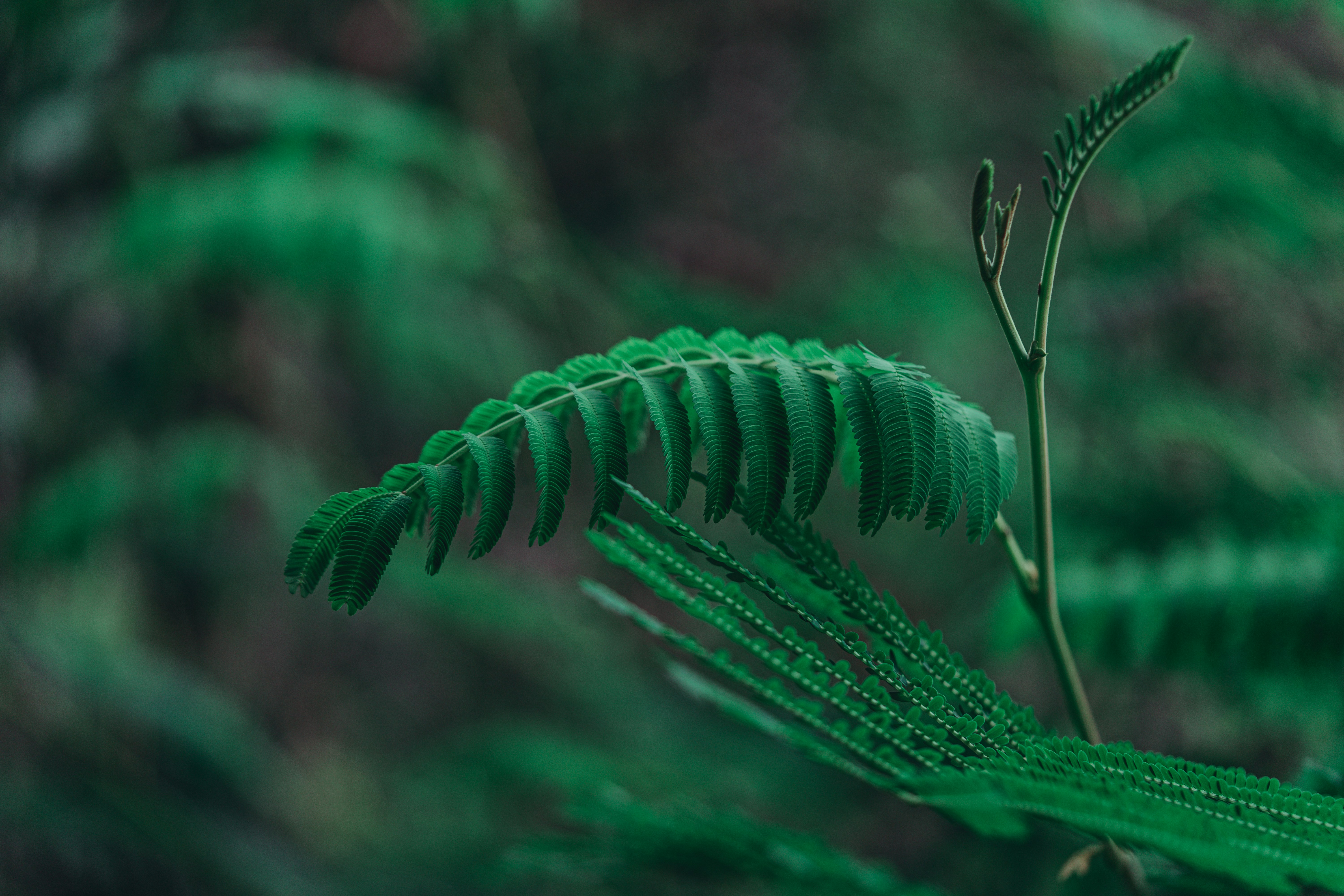 Photo by countingframez