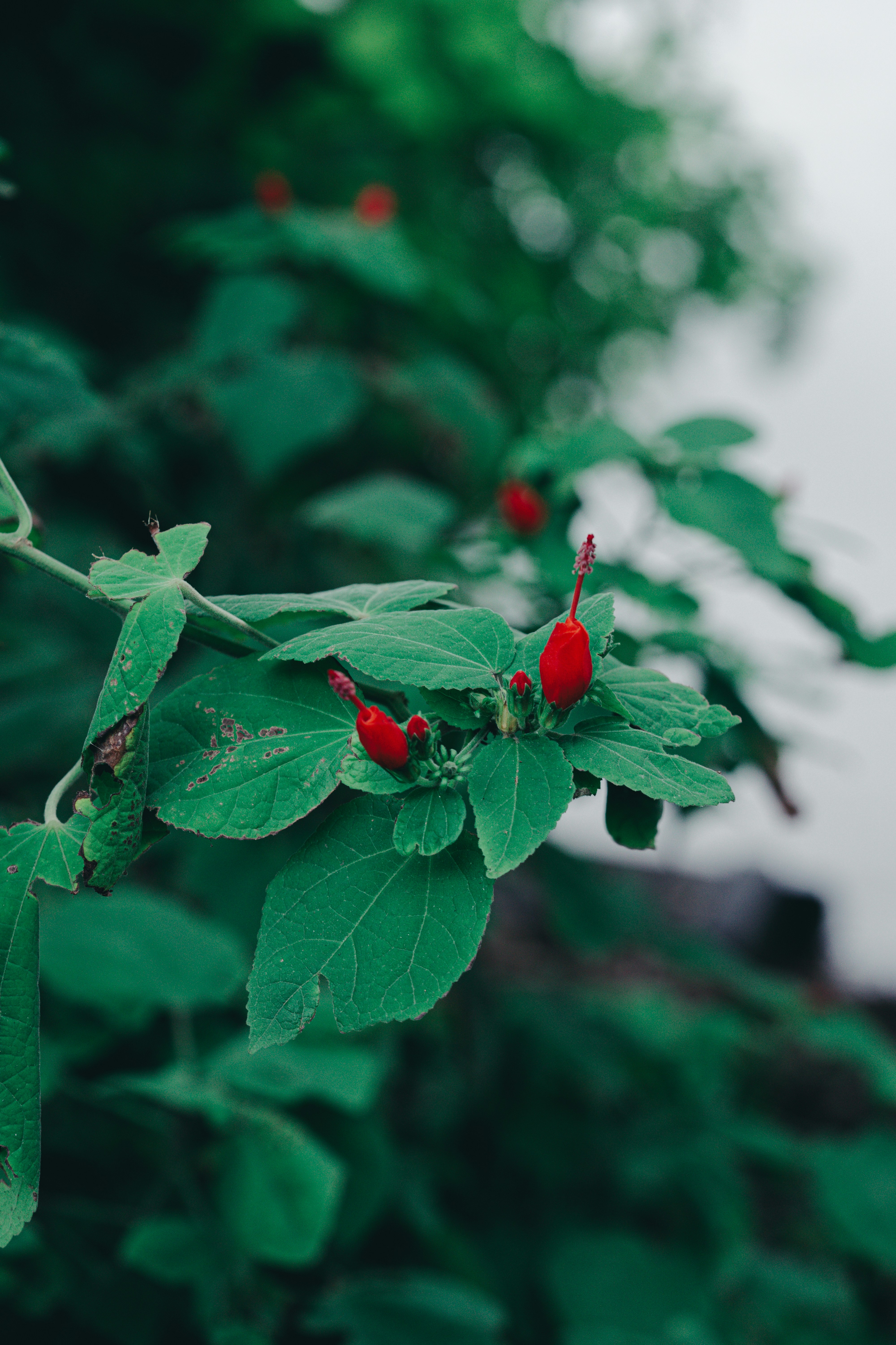 Photo by countingframez