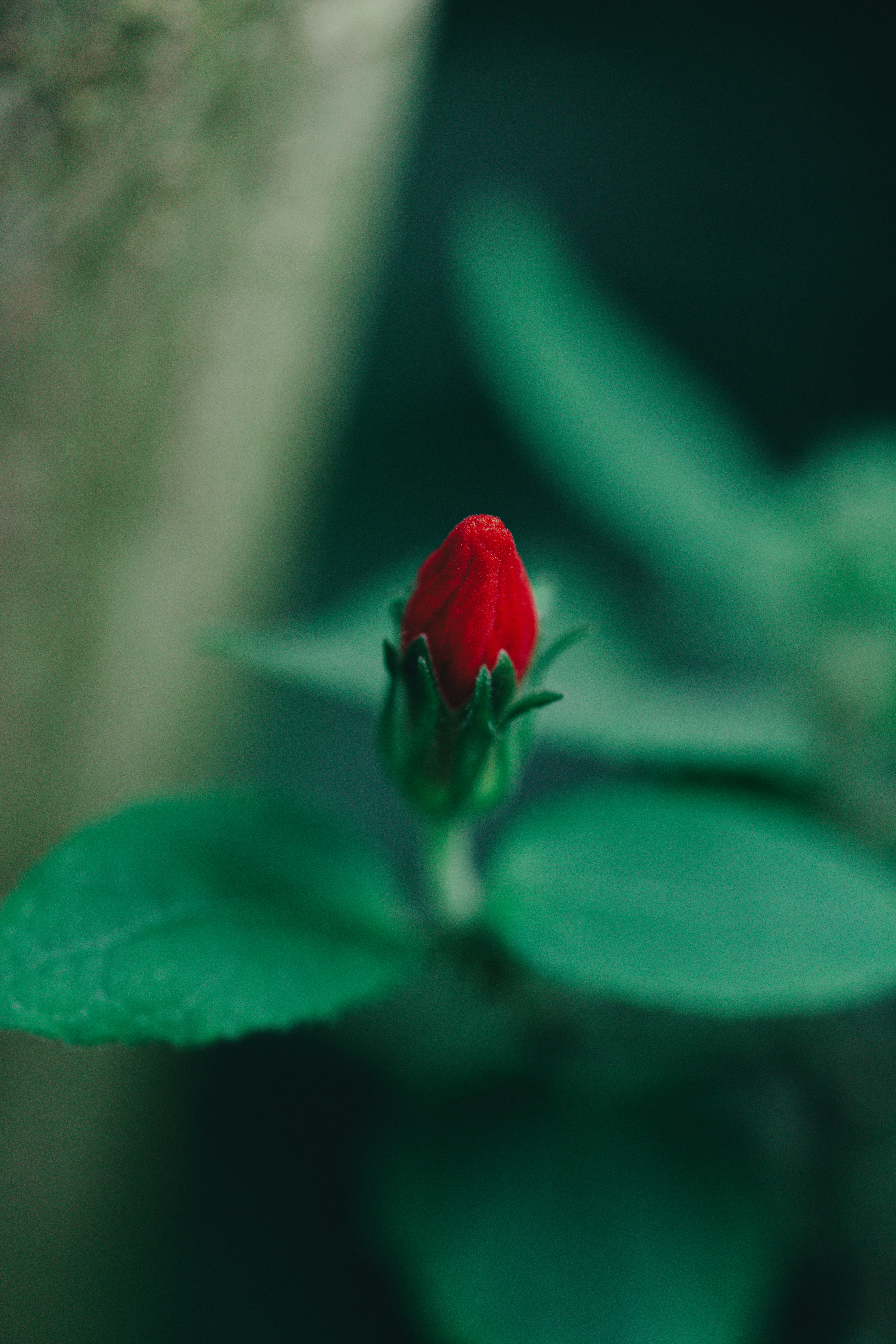 Photo by countingframez