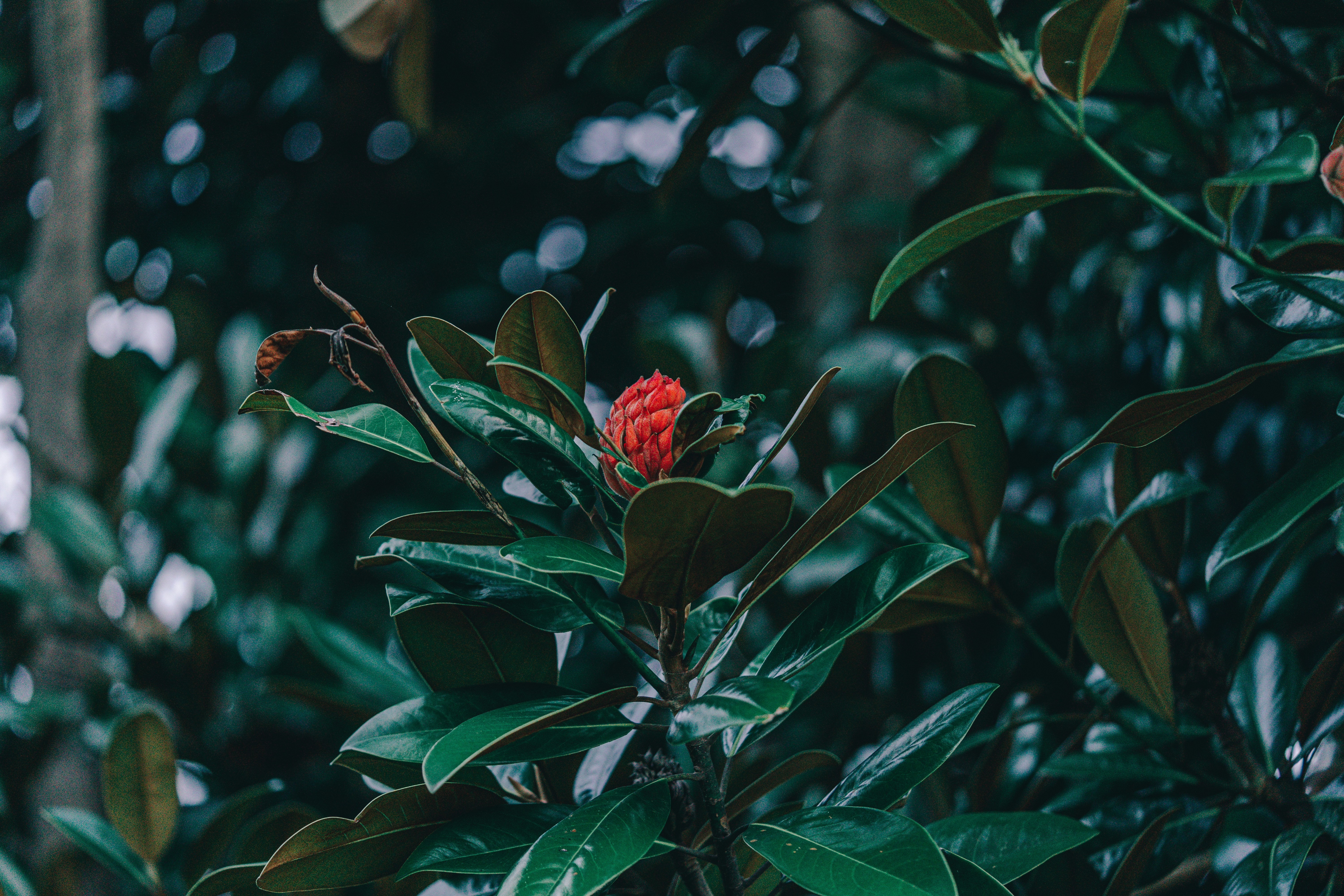 Photo by countingframez