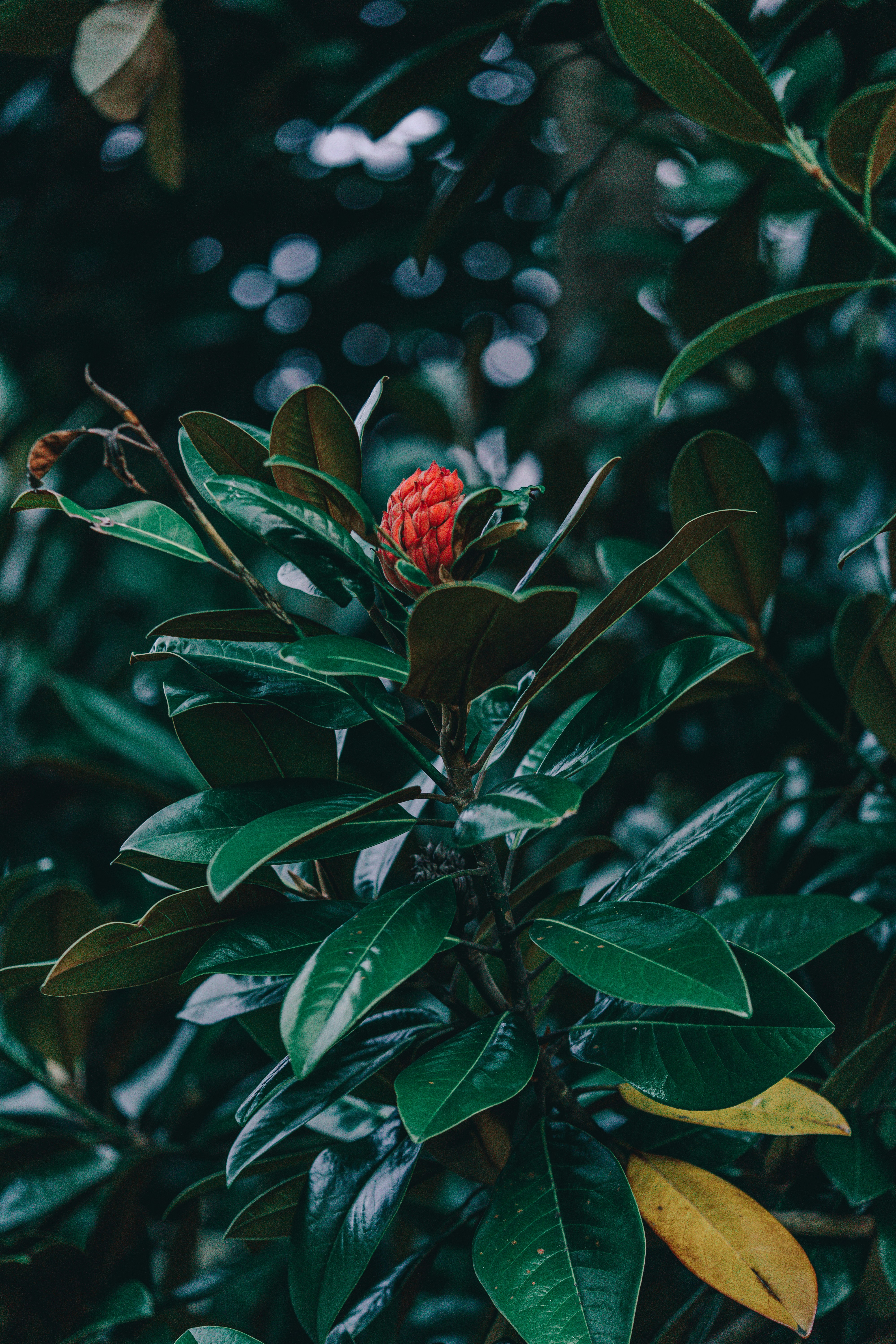 Photo by countingframez