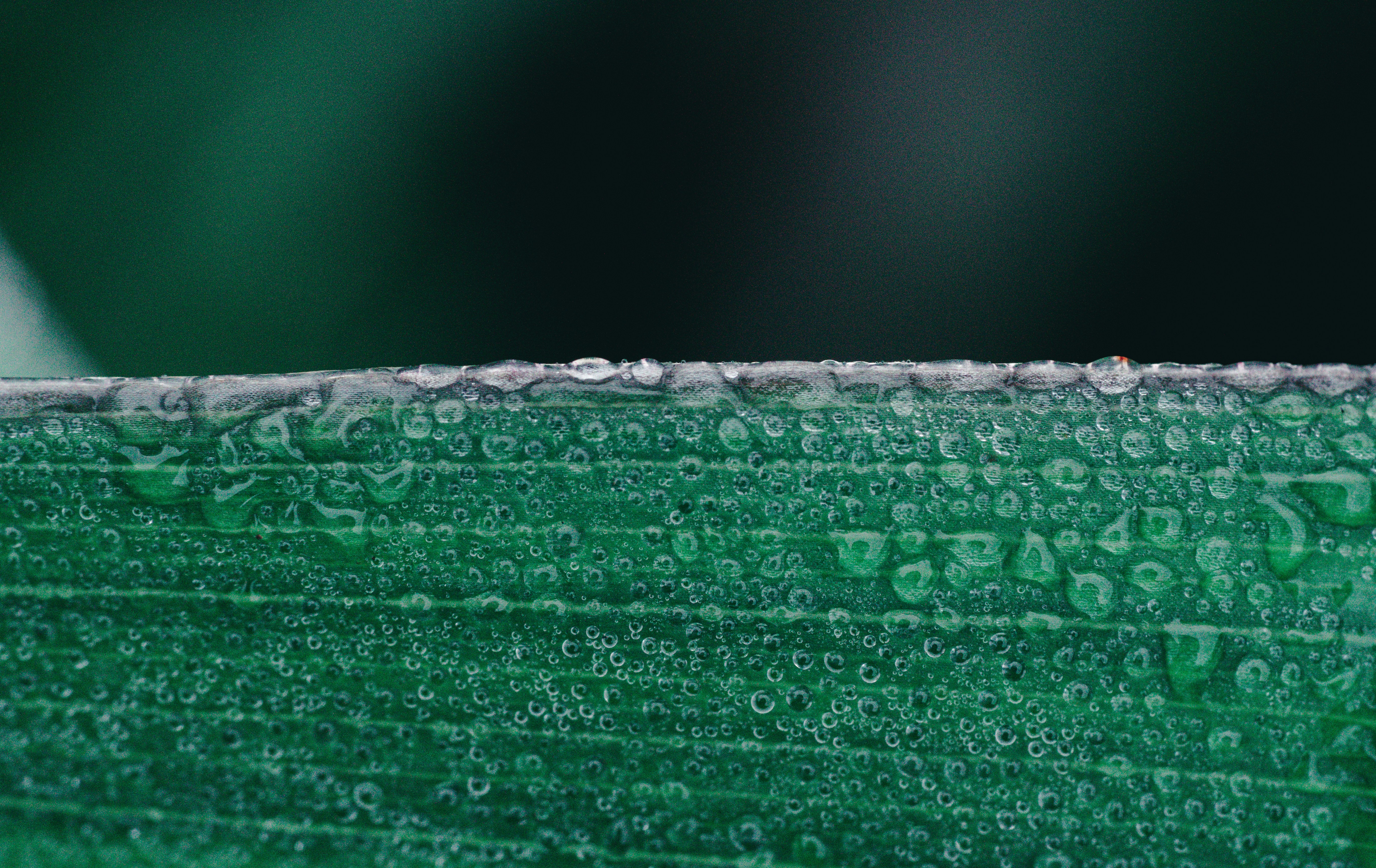 Photo by countingframez