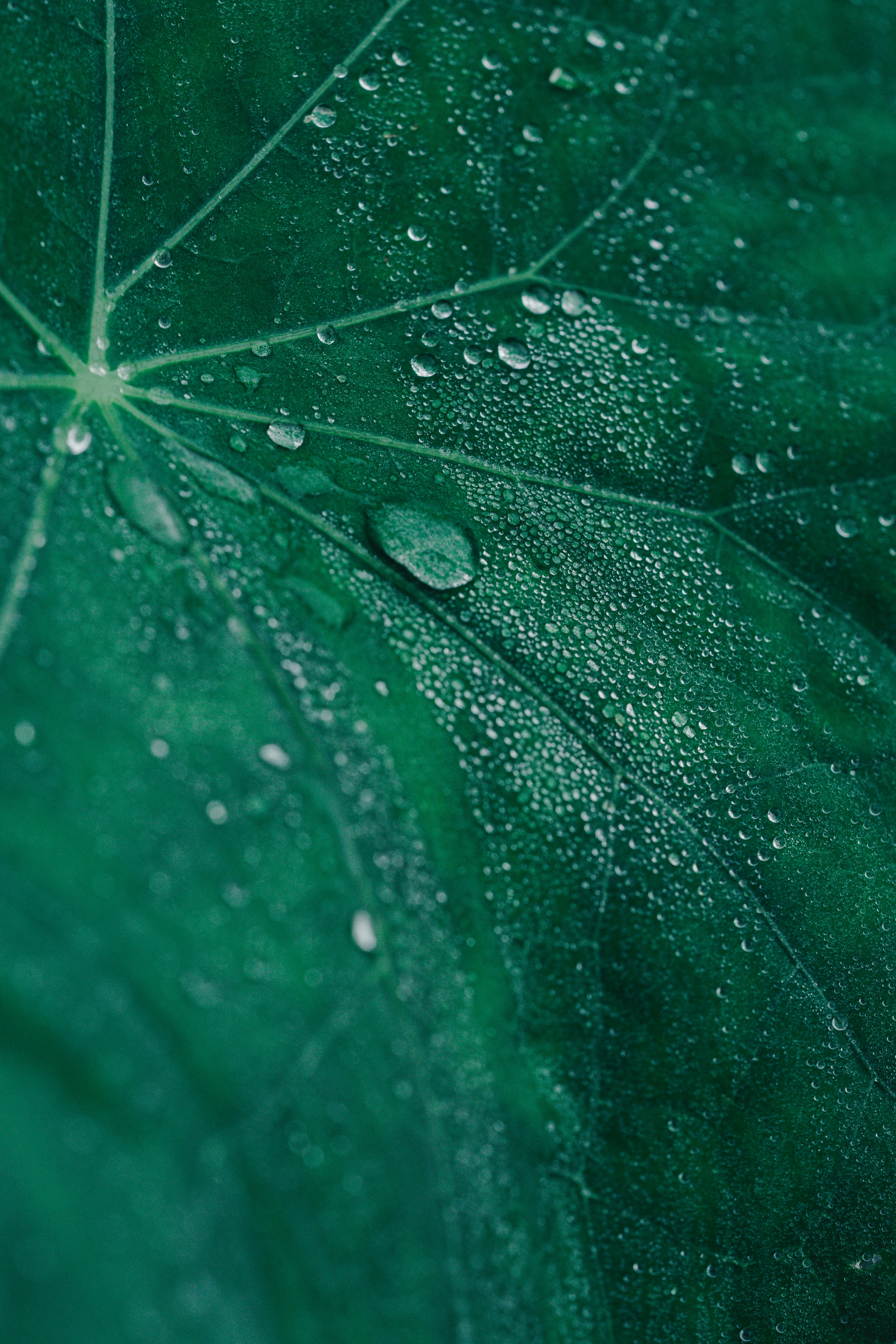 Photo by countingframez