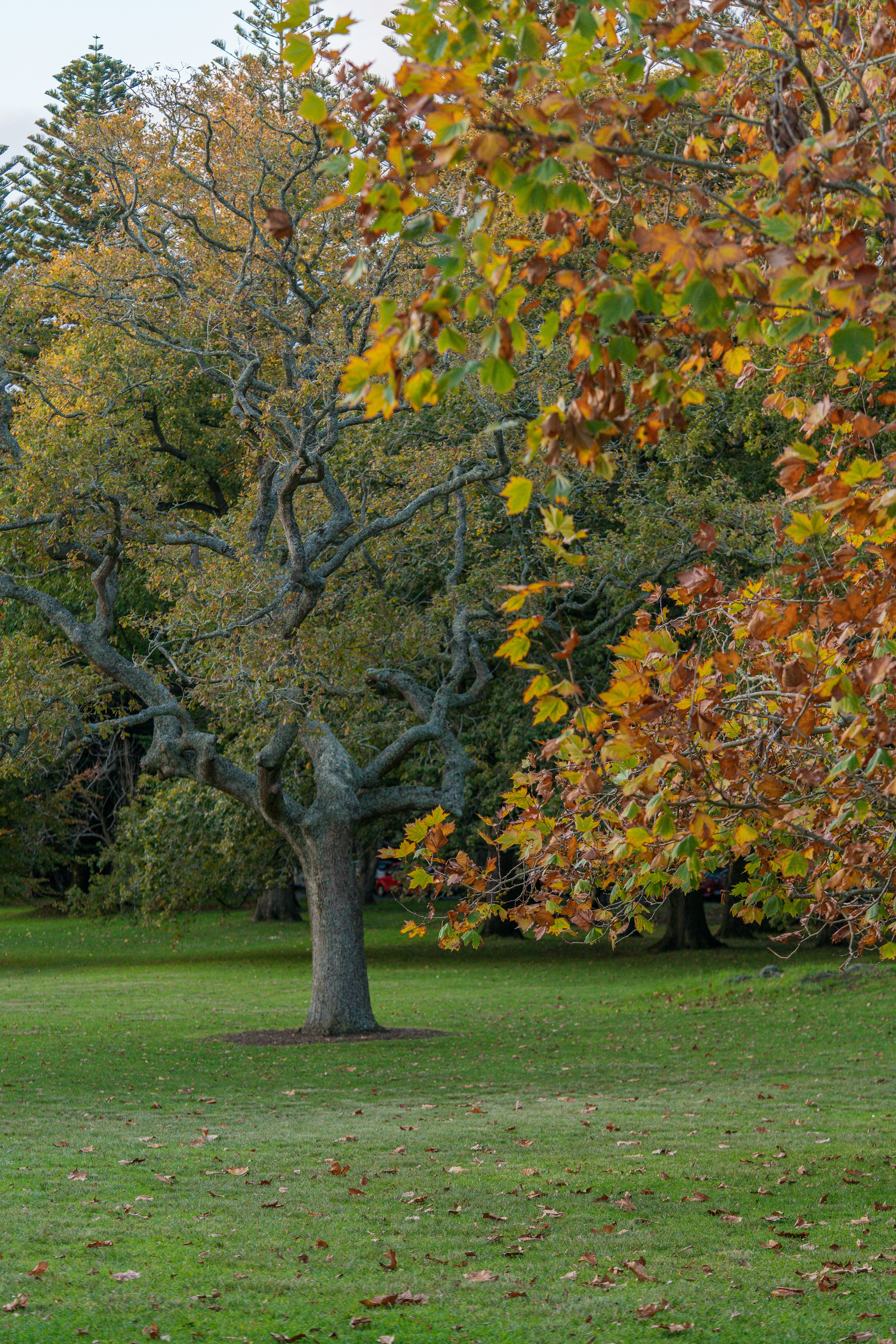 Photo by countingframez