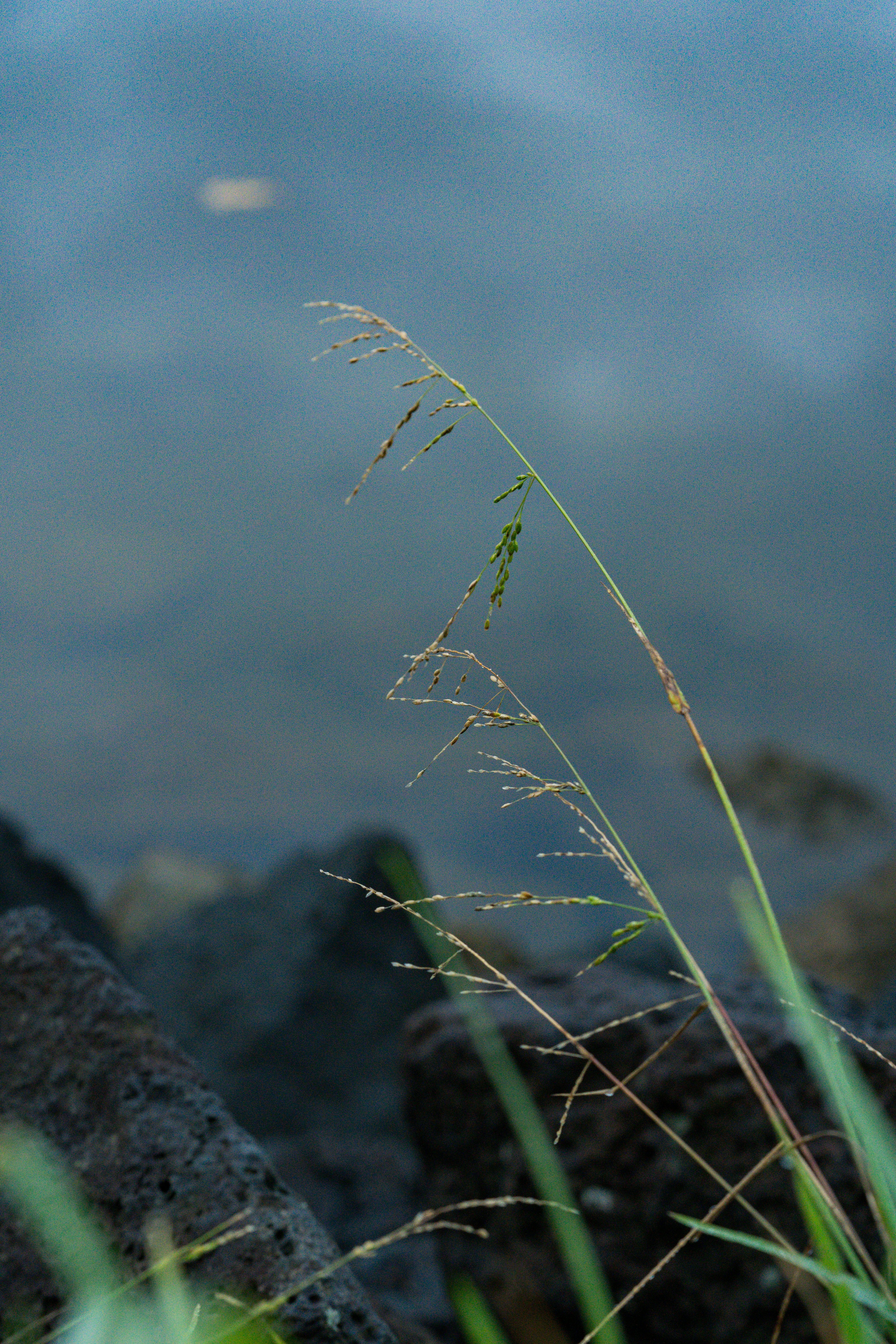 Photo by countingframez