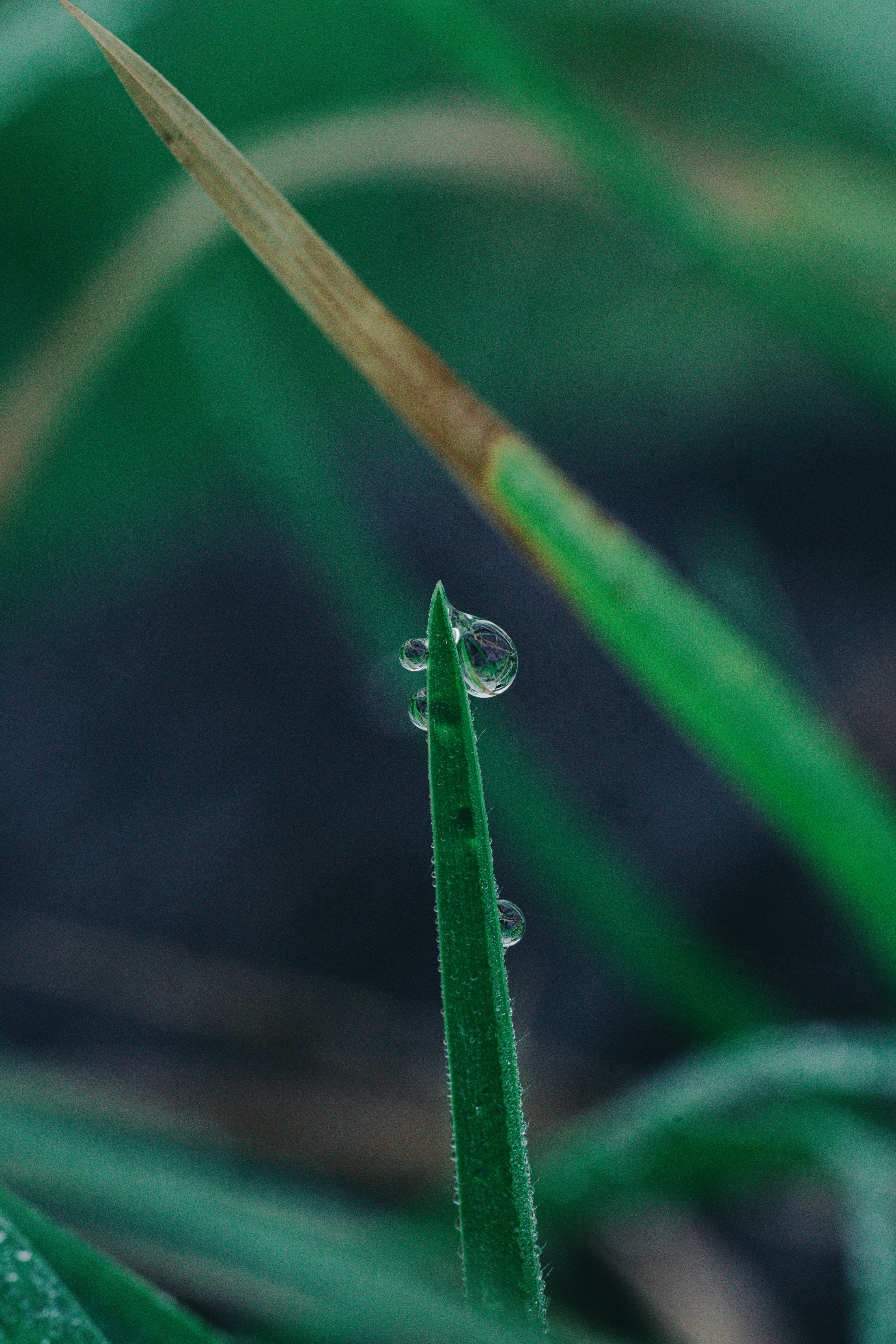 Photo by countingframez