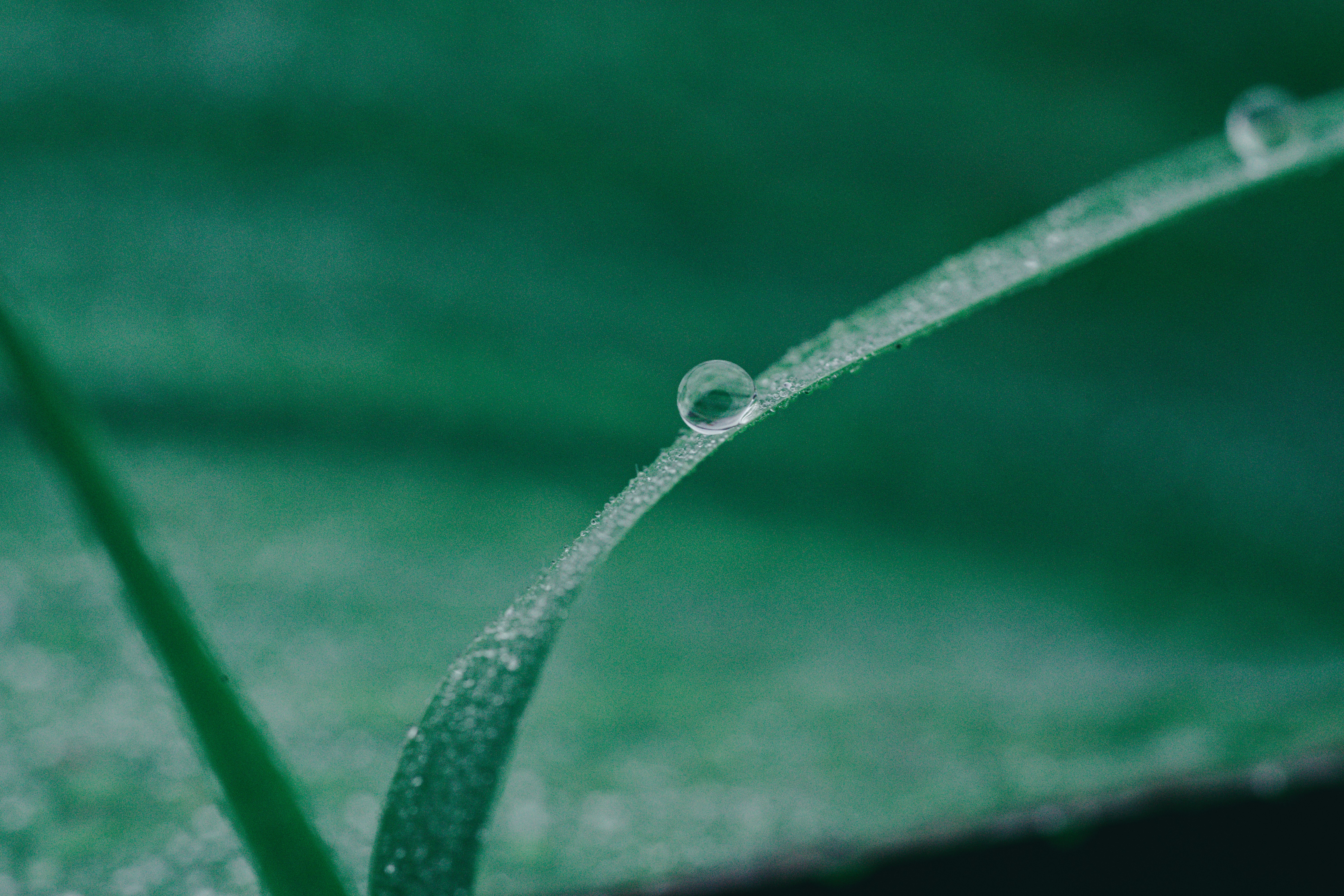 Photo by countingframez