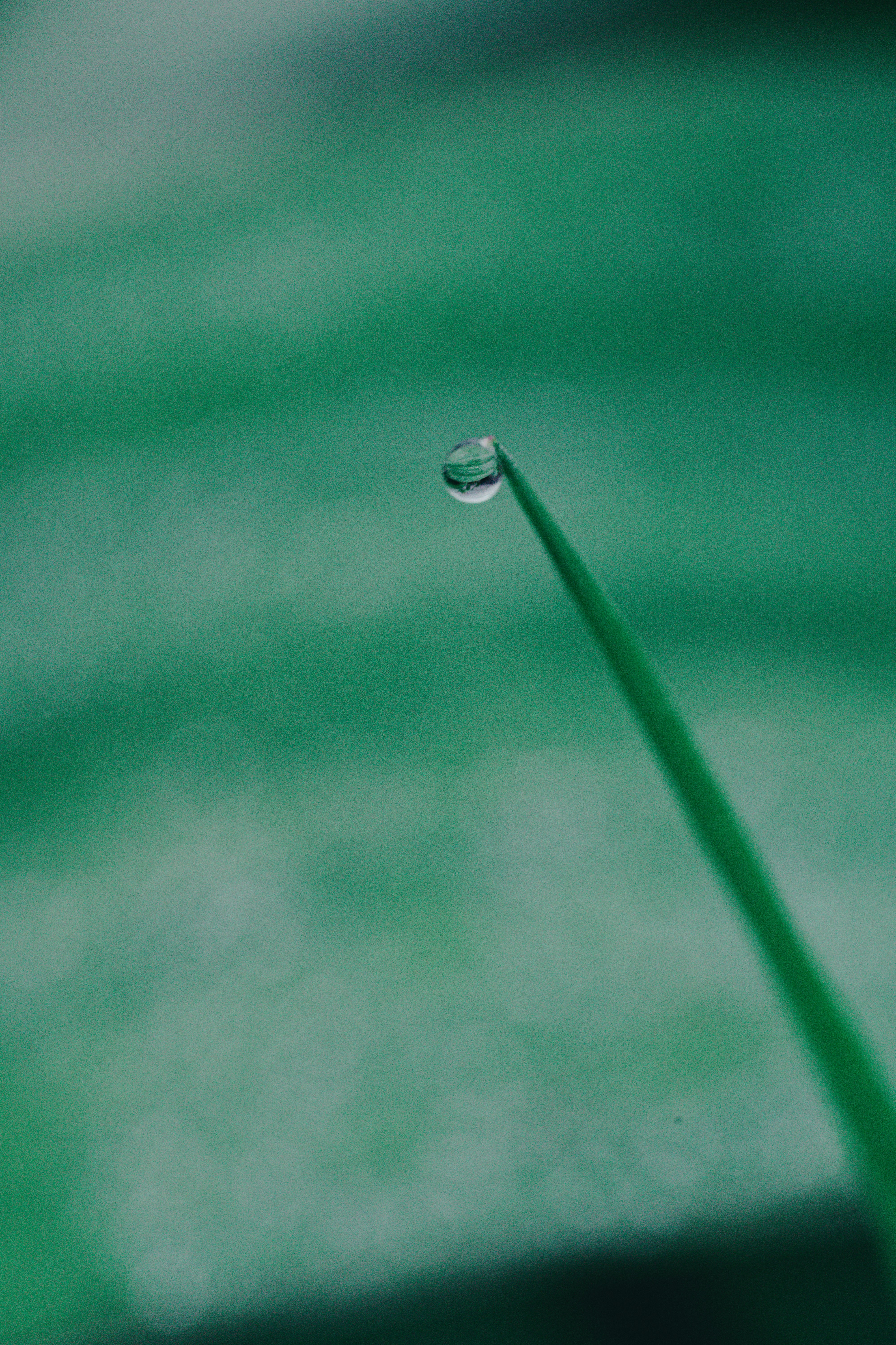 Photo by countingframez