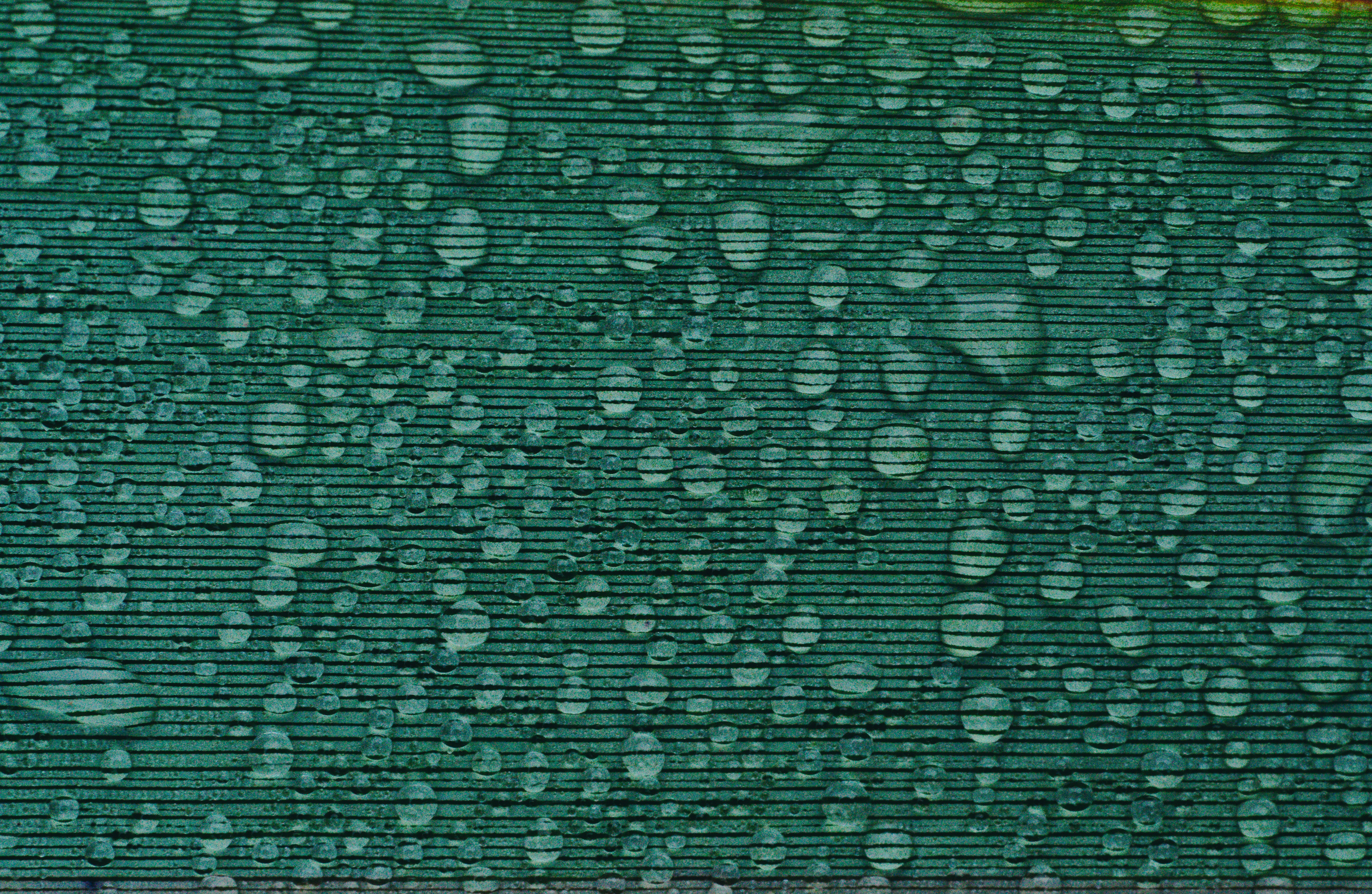 Photo by countingframez