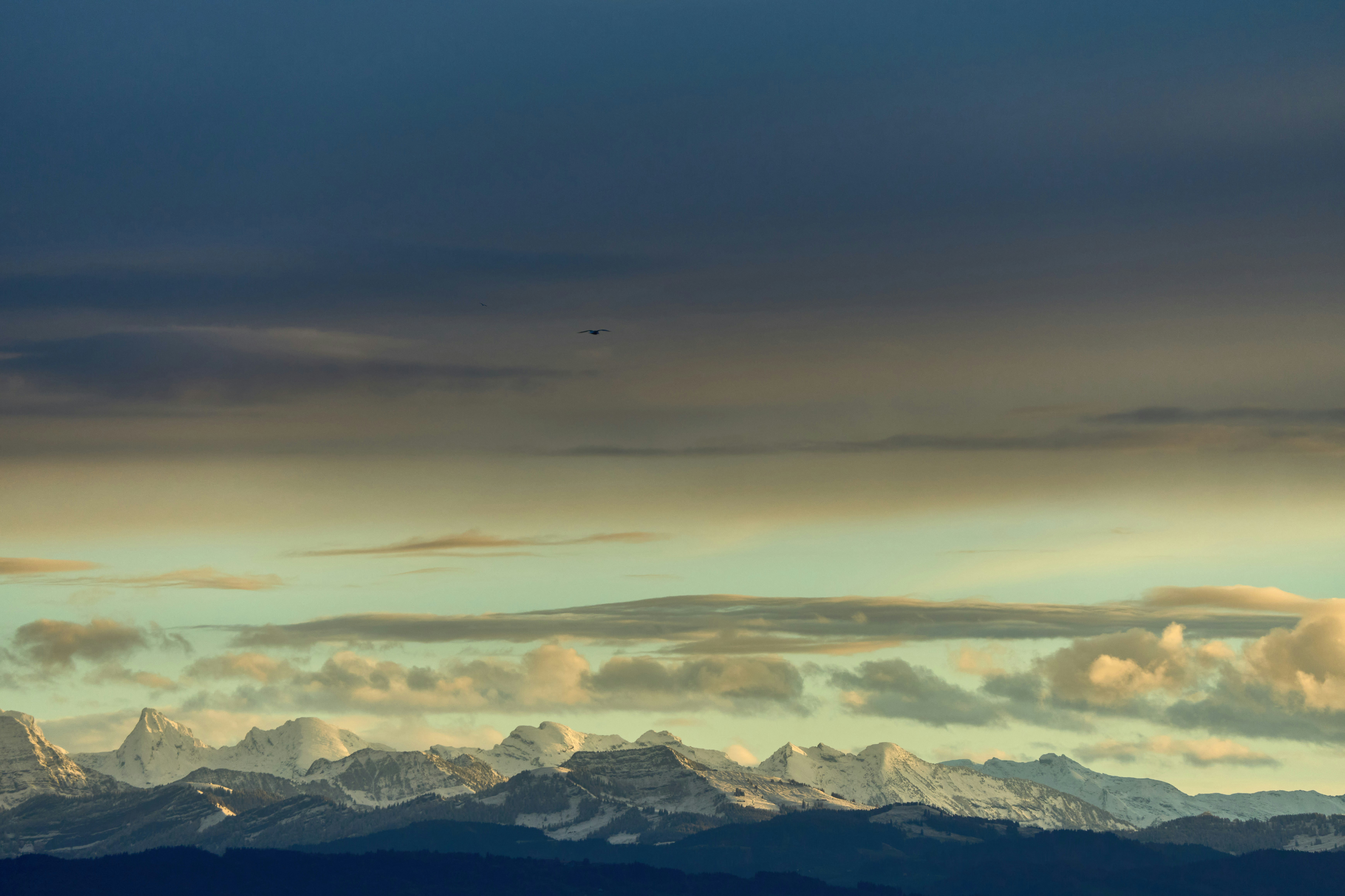 Photo by wolfgang_hasselmann