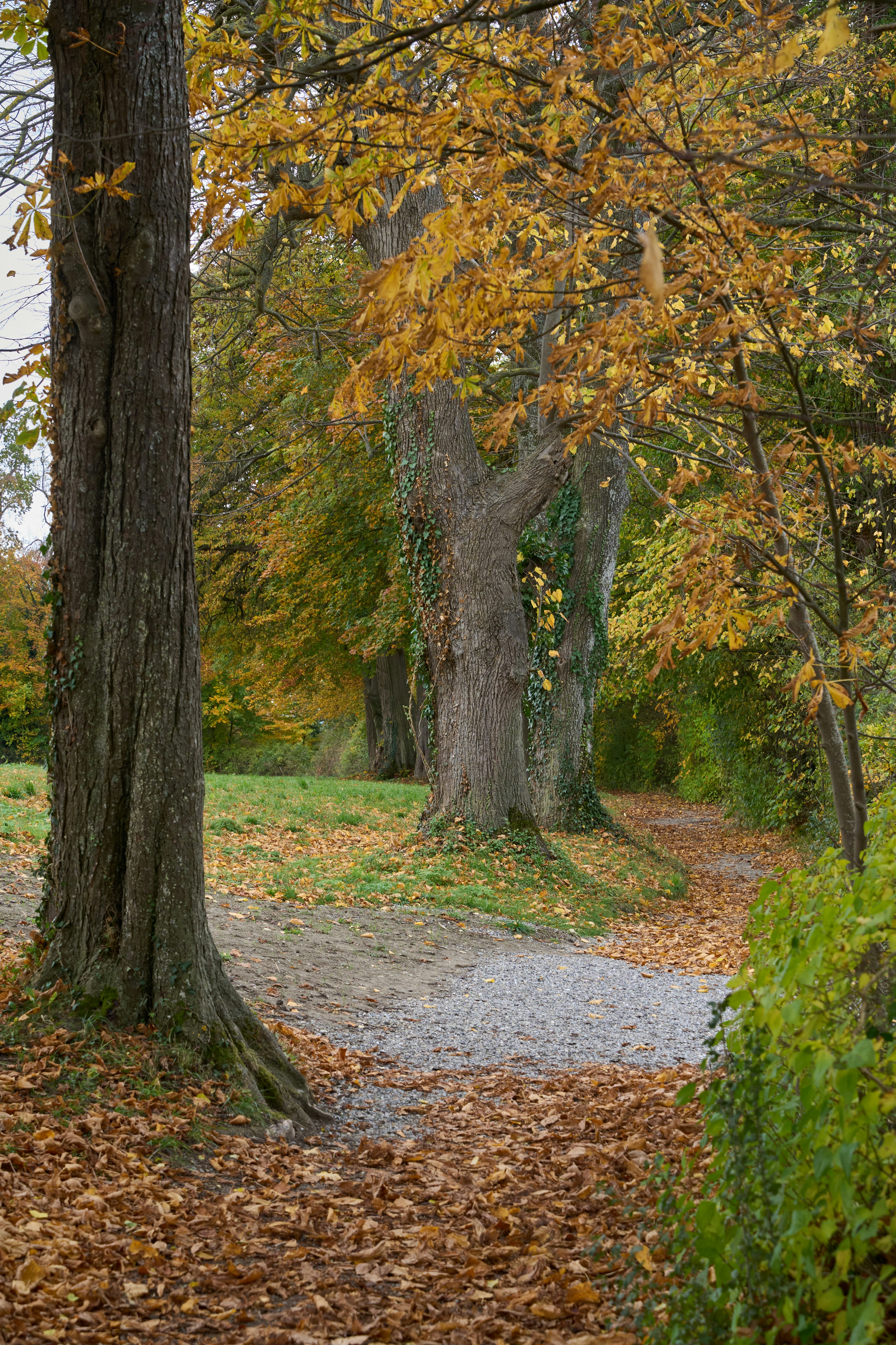 Photo by wolfgang_hasselmann