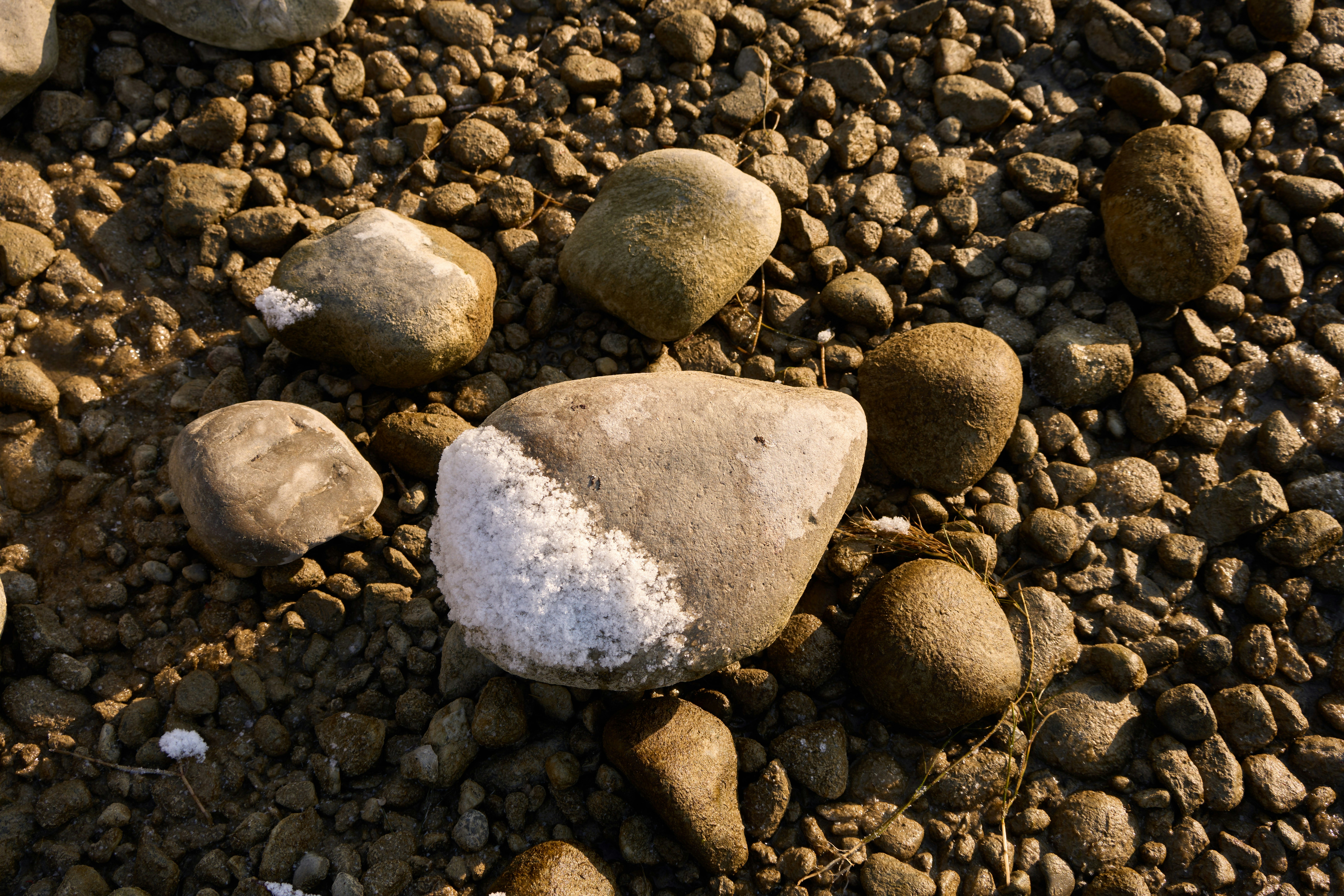 Photo by wolfgang_hasselmann