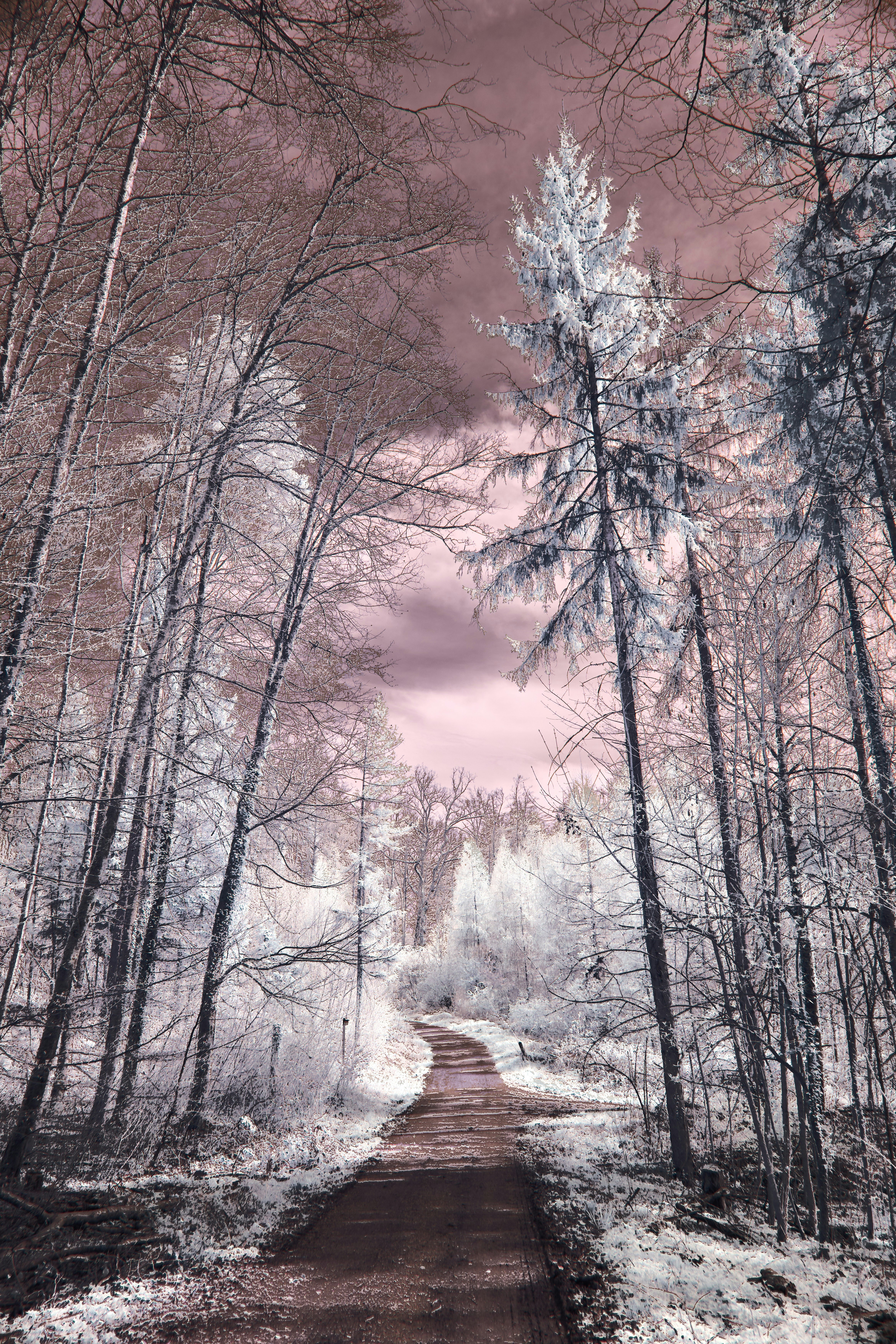 Photo by wolfgang_hasselmann