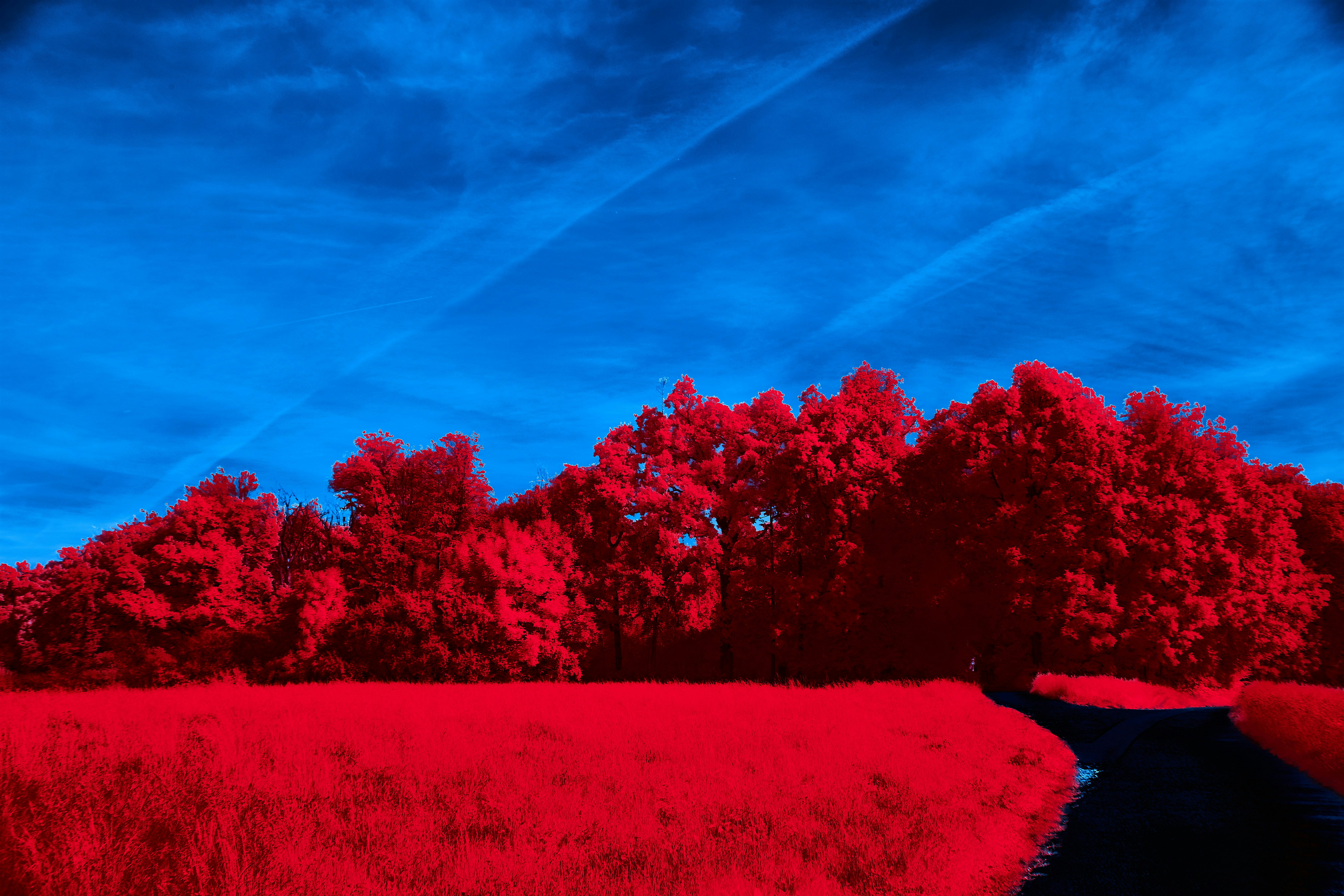 Photo by wolfgang_hasselmann