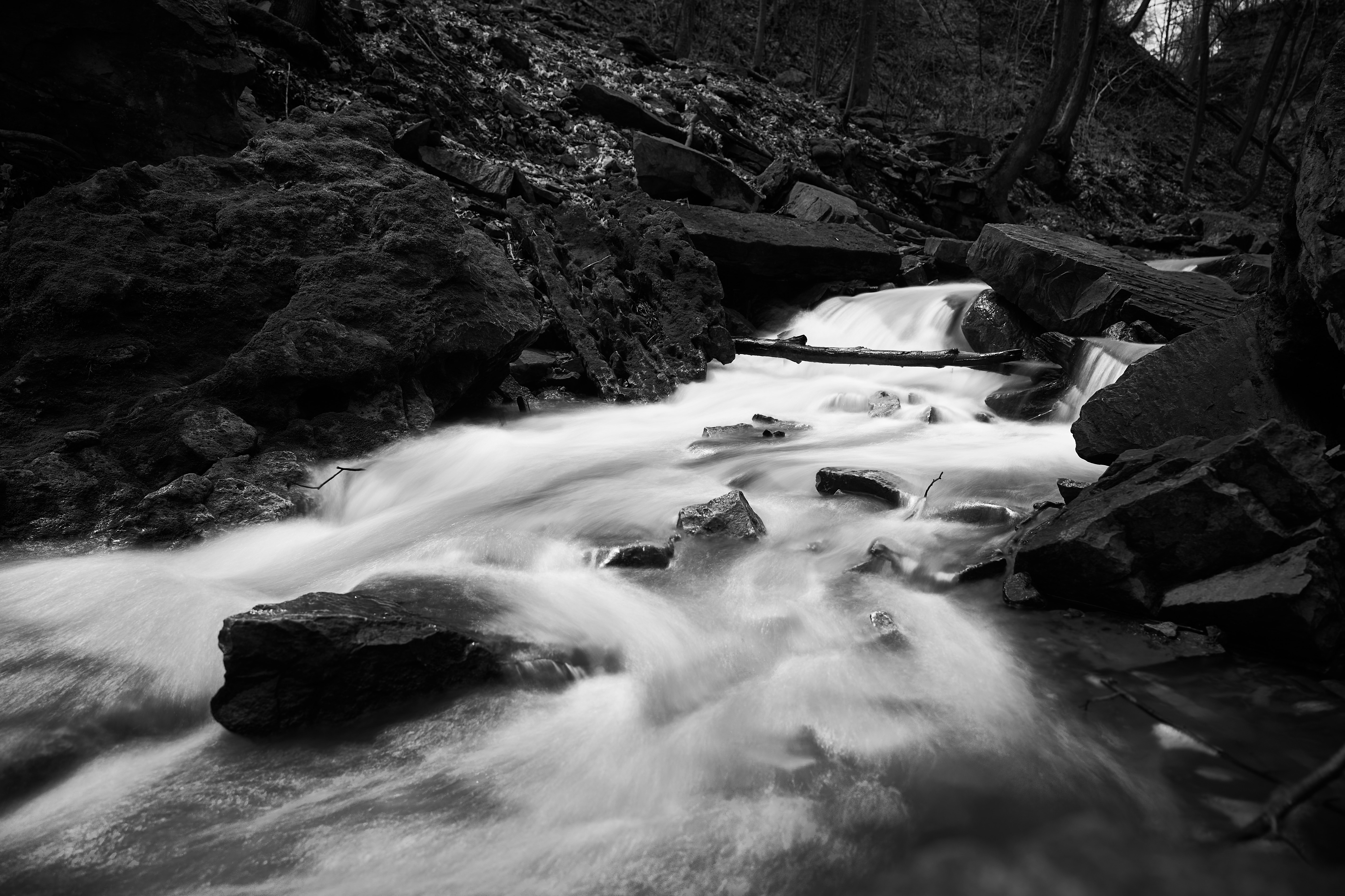 Photo by wolfgang_hasselmann