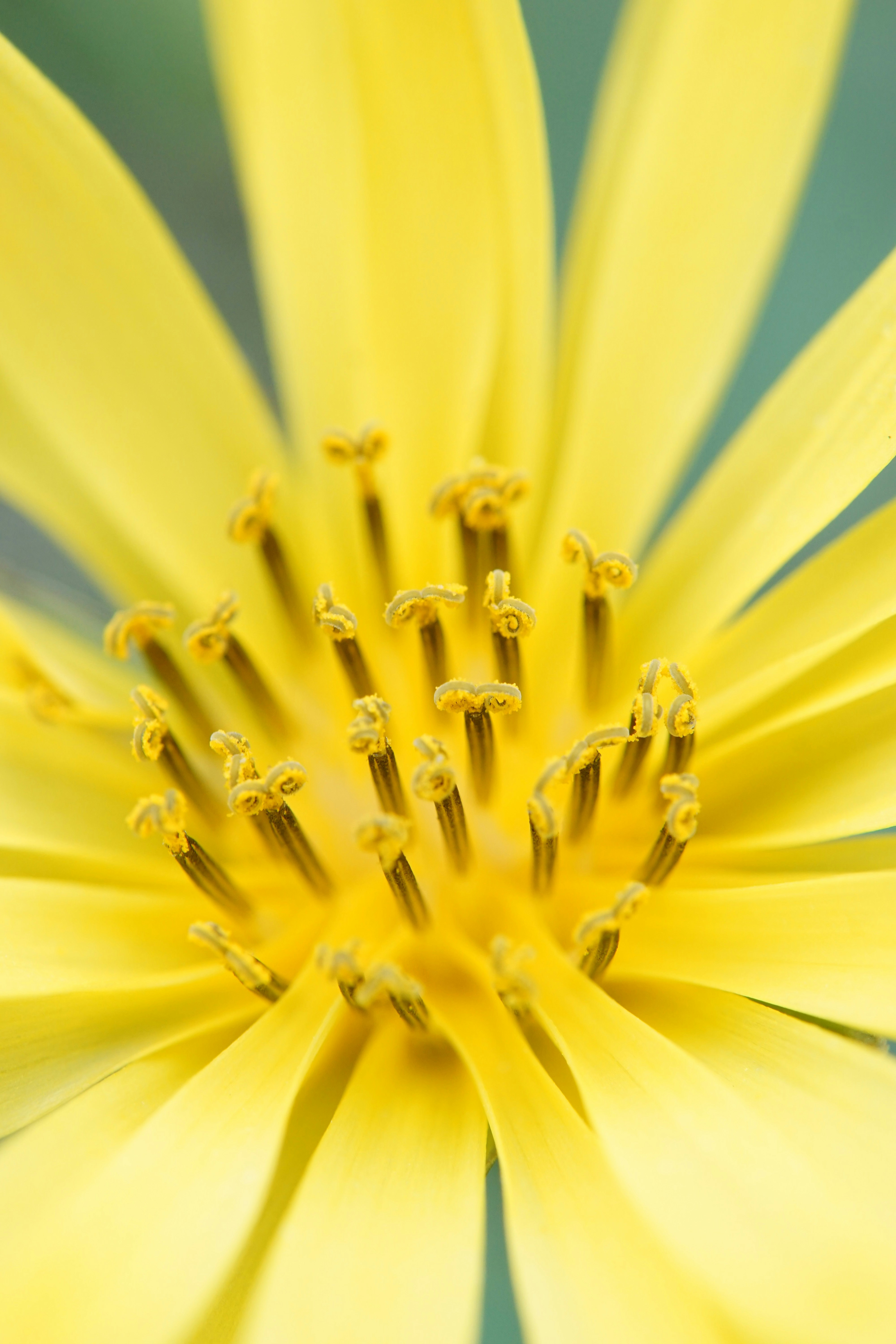 Photo by harbor_wildflowers