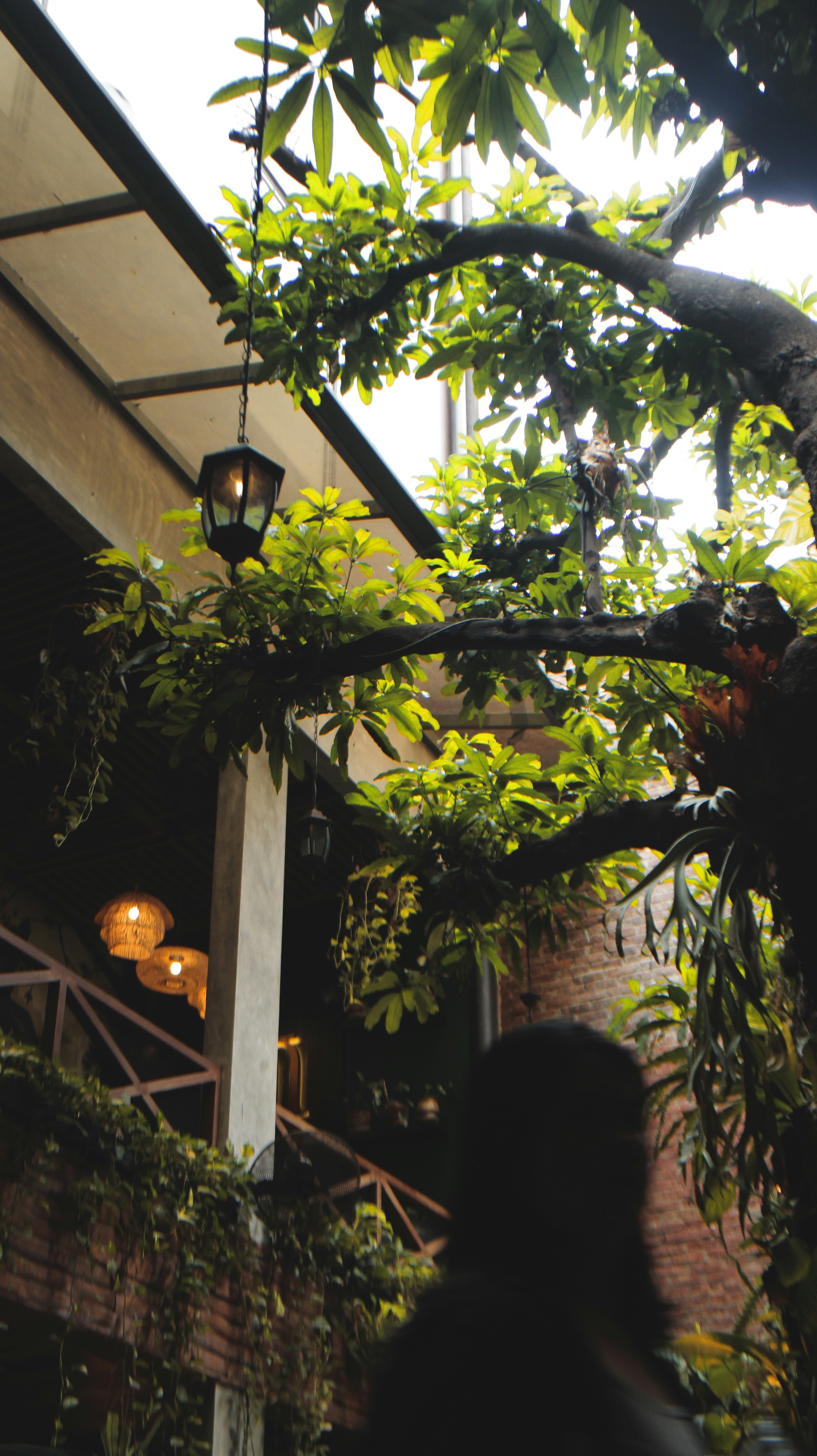 Photo by stillsbyros