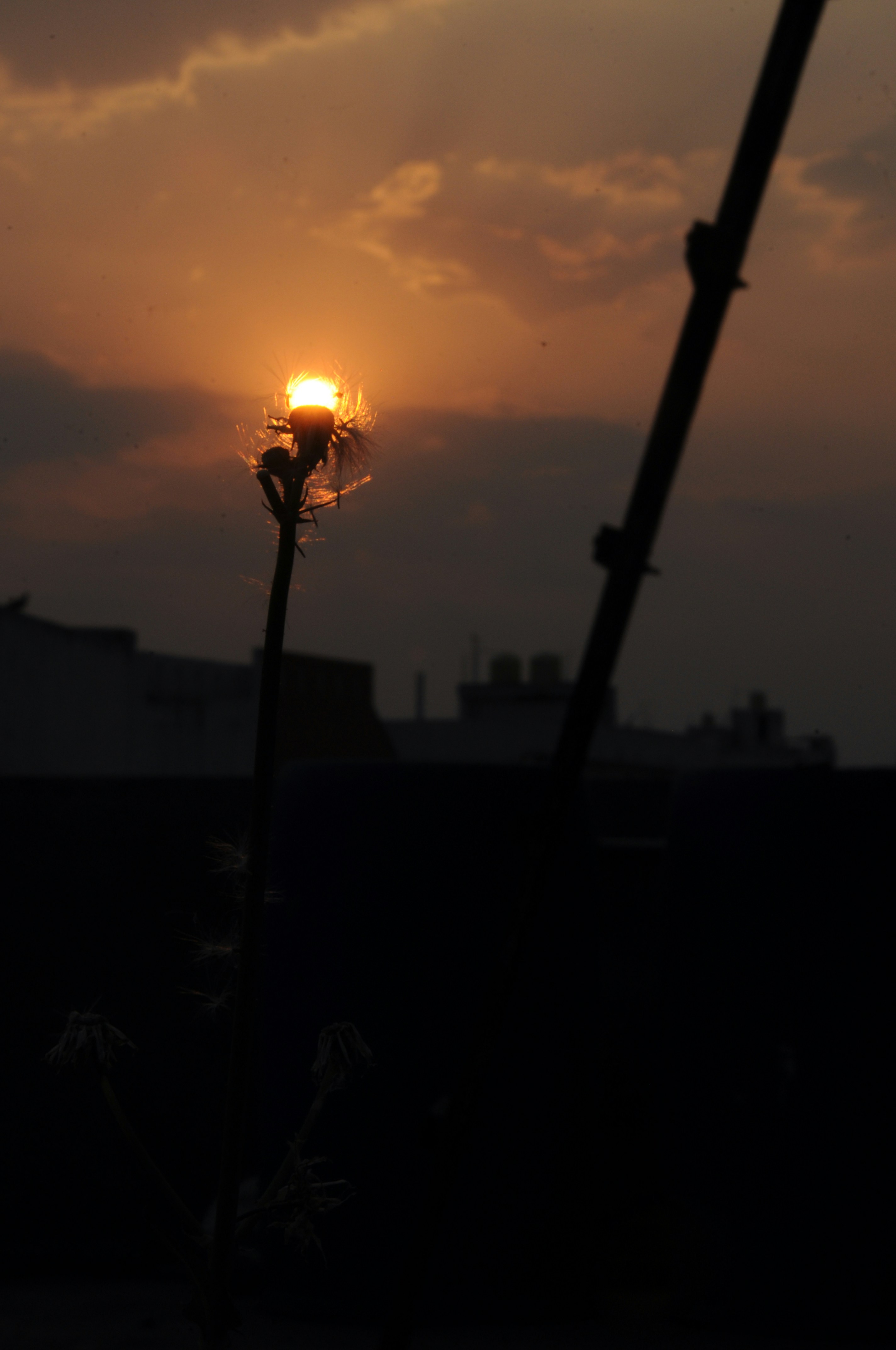 Photo by asmit416