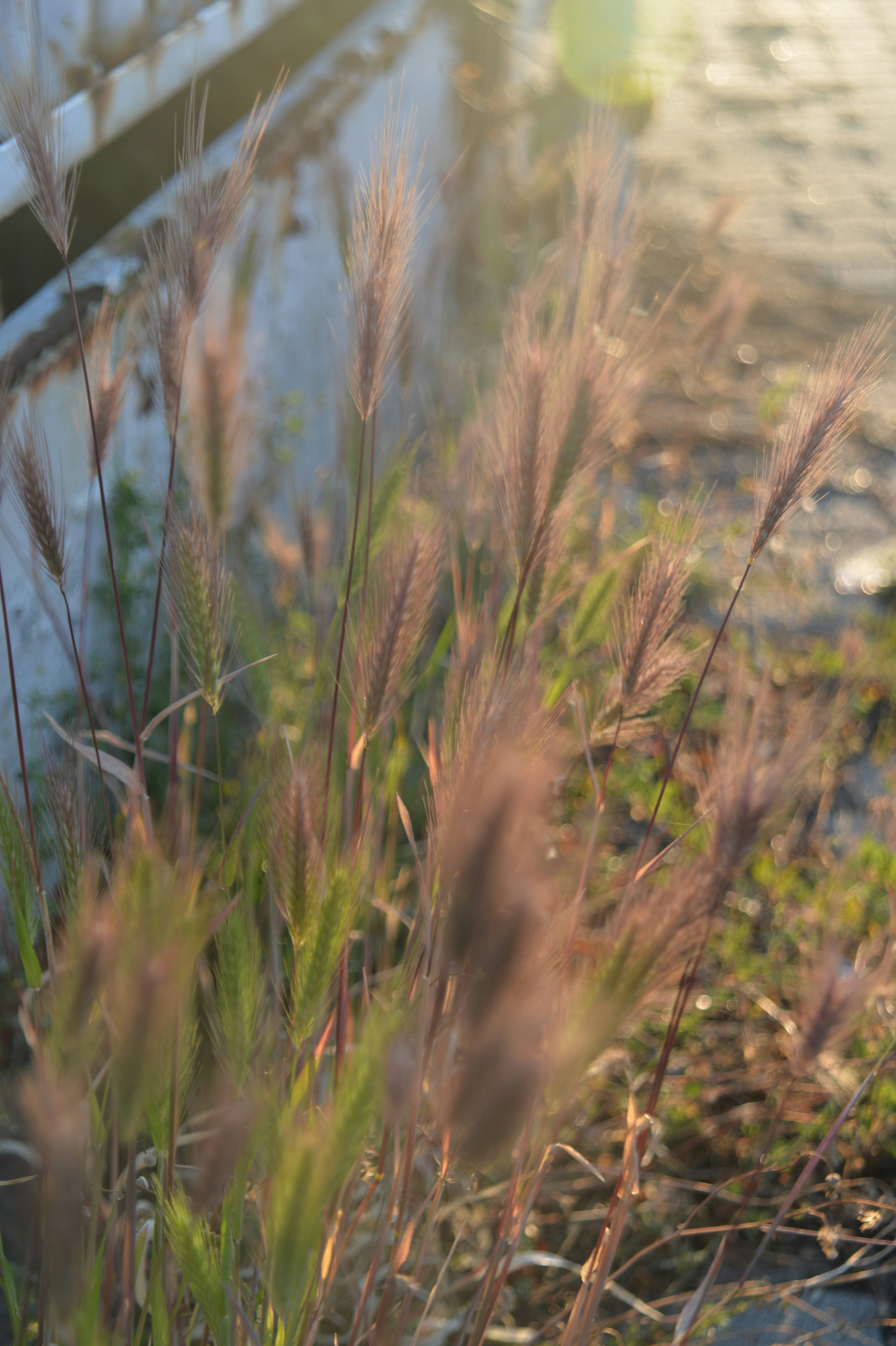 Photo by baliko_andras