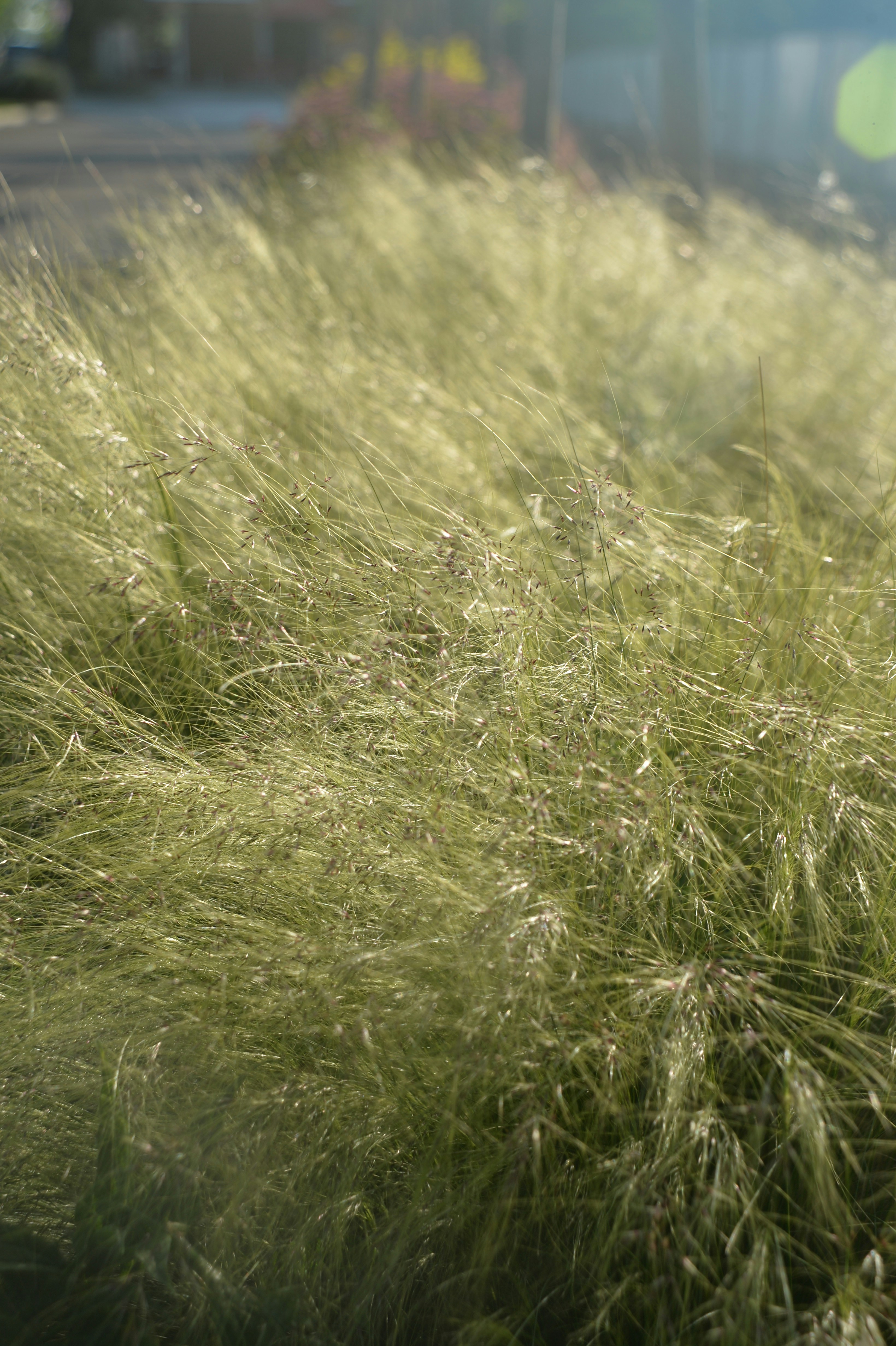 Photo by baliko_andras