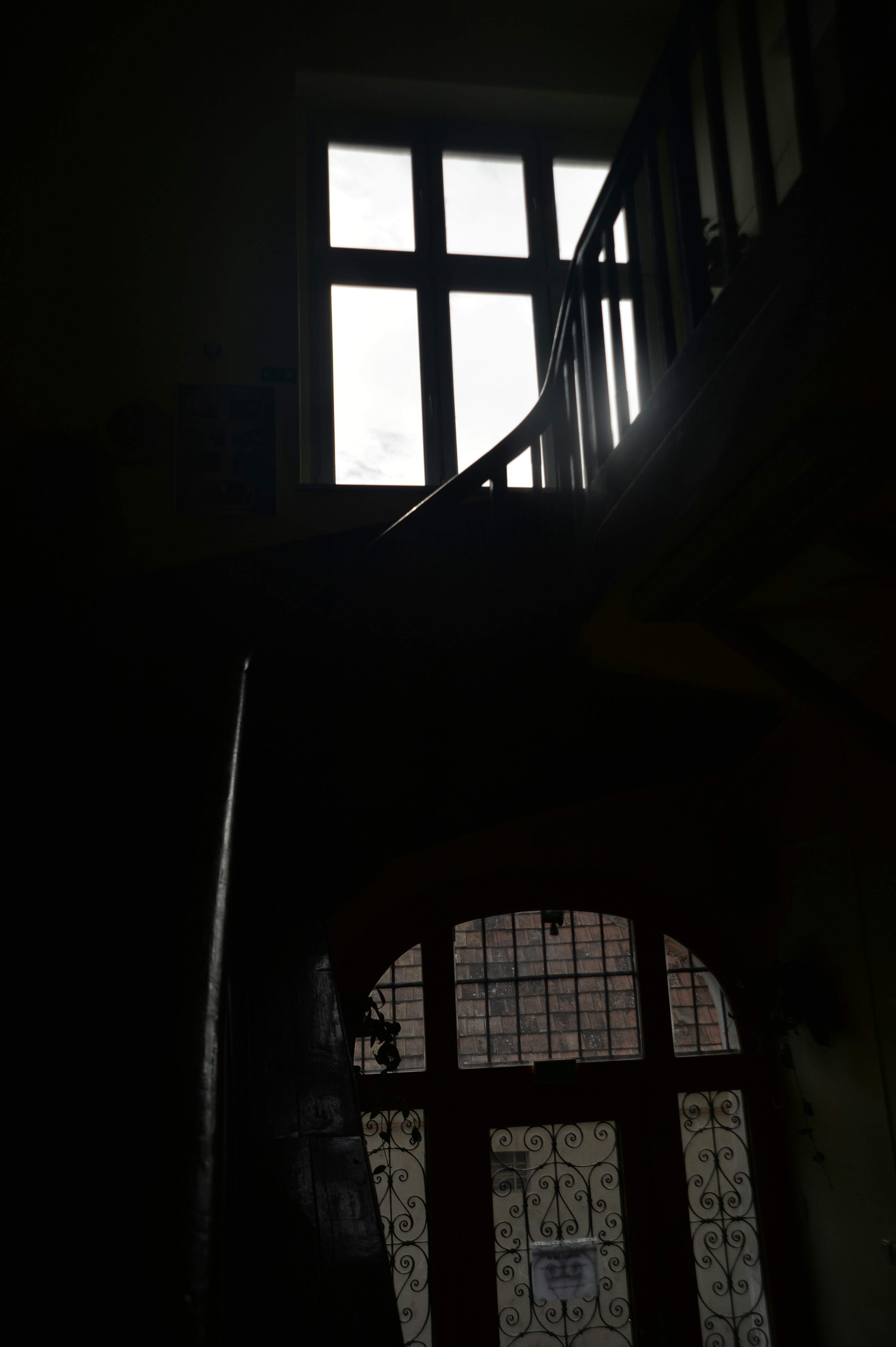 Photo by baliko_andras