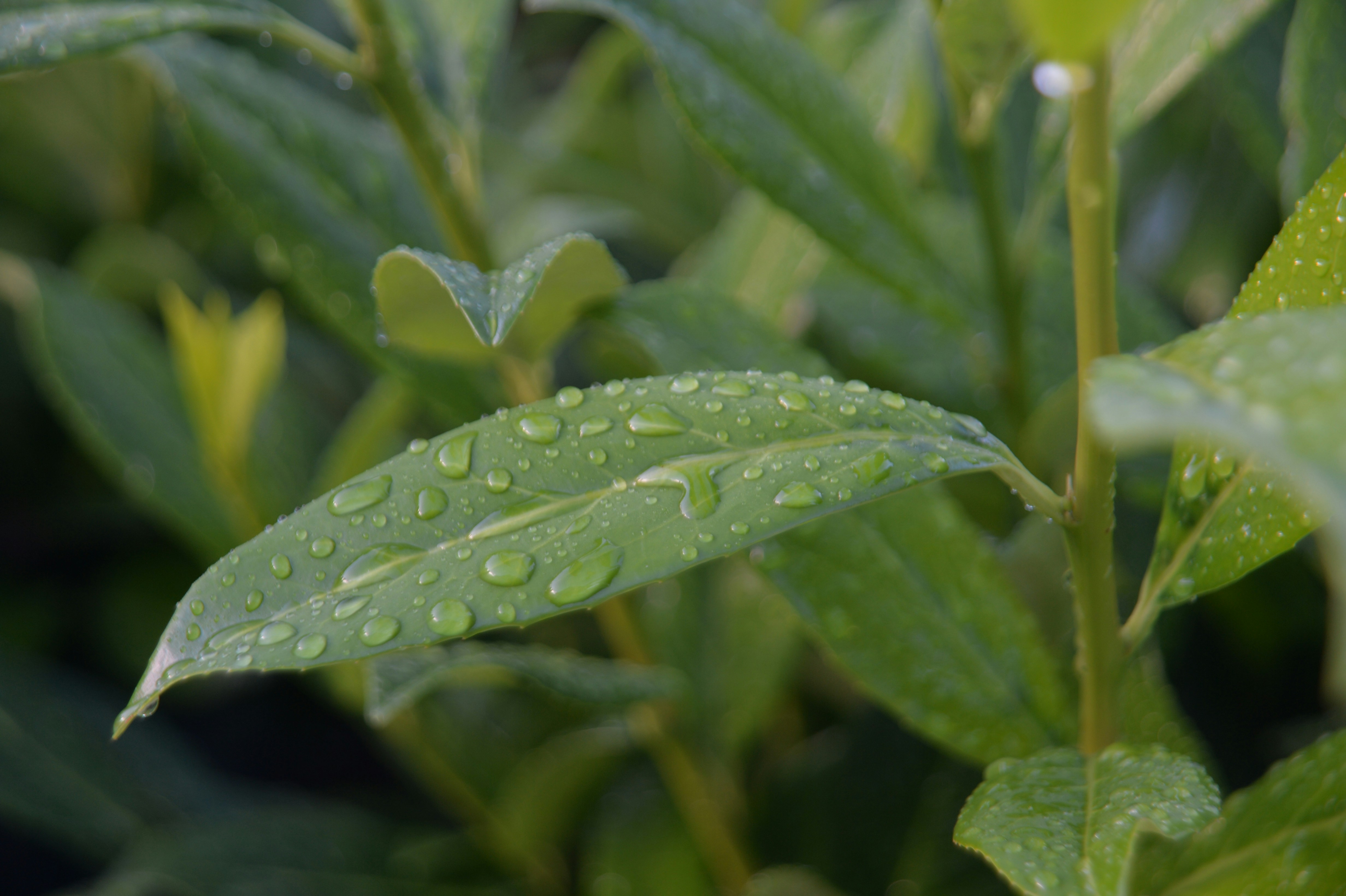 Photo by baliko_andras