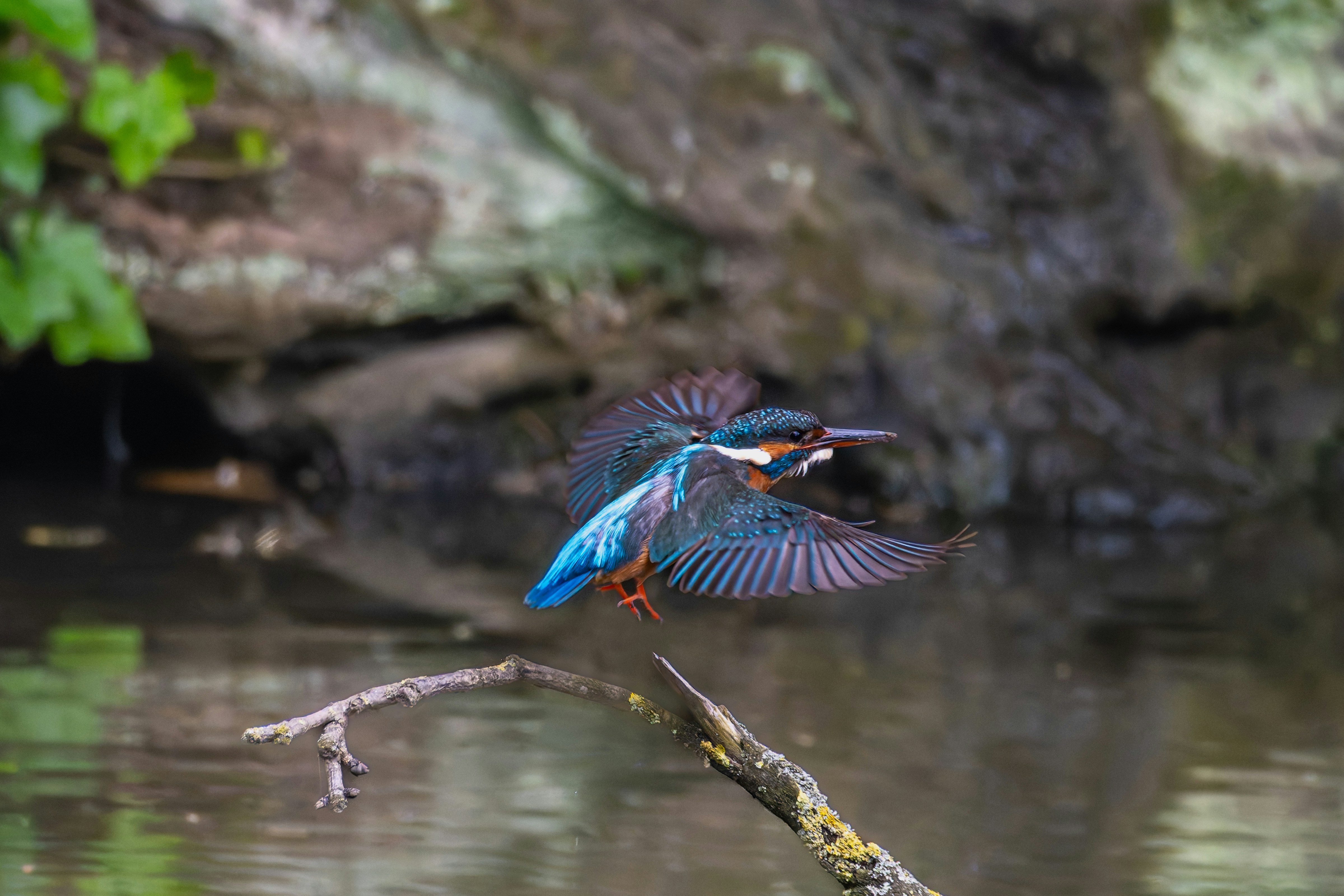 Photo by siegfriedpoepperl