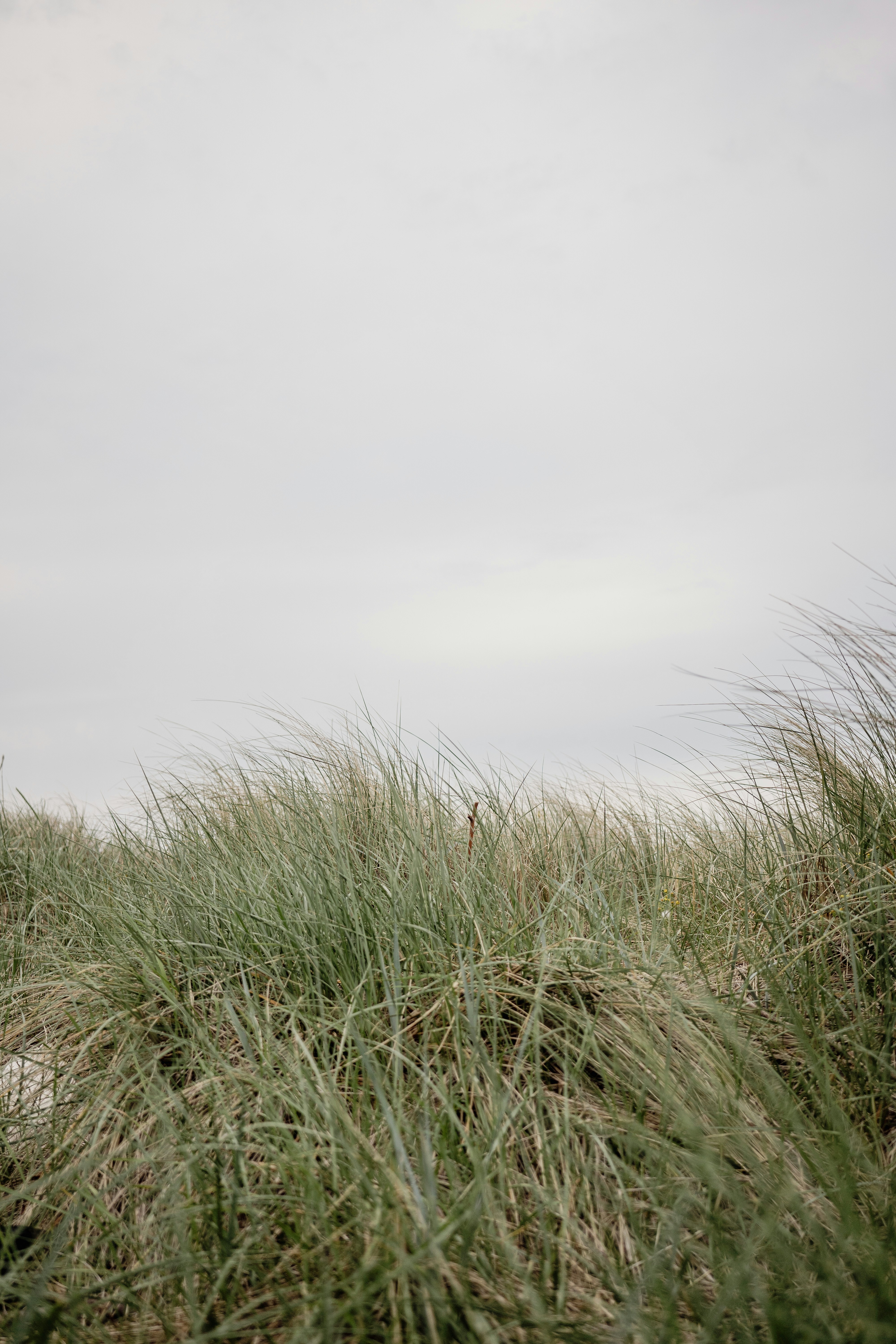 Photo by karthickgislen