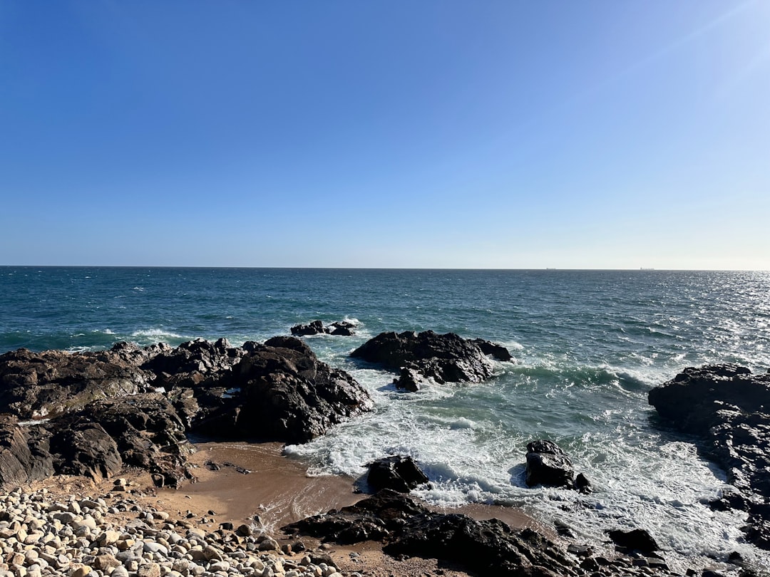 Exploring Porto's Hidden Gems 7 Off-the-Beaten-Path
