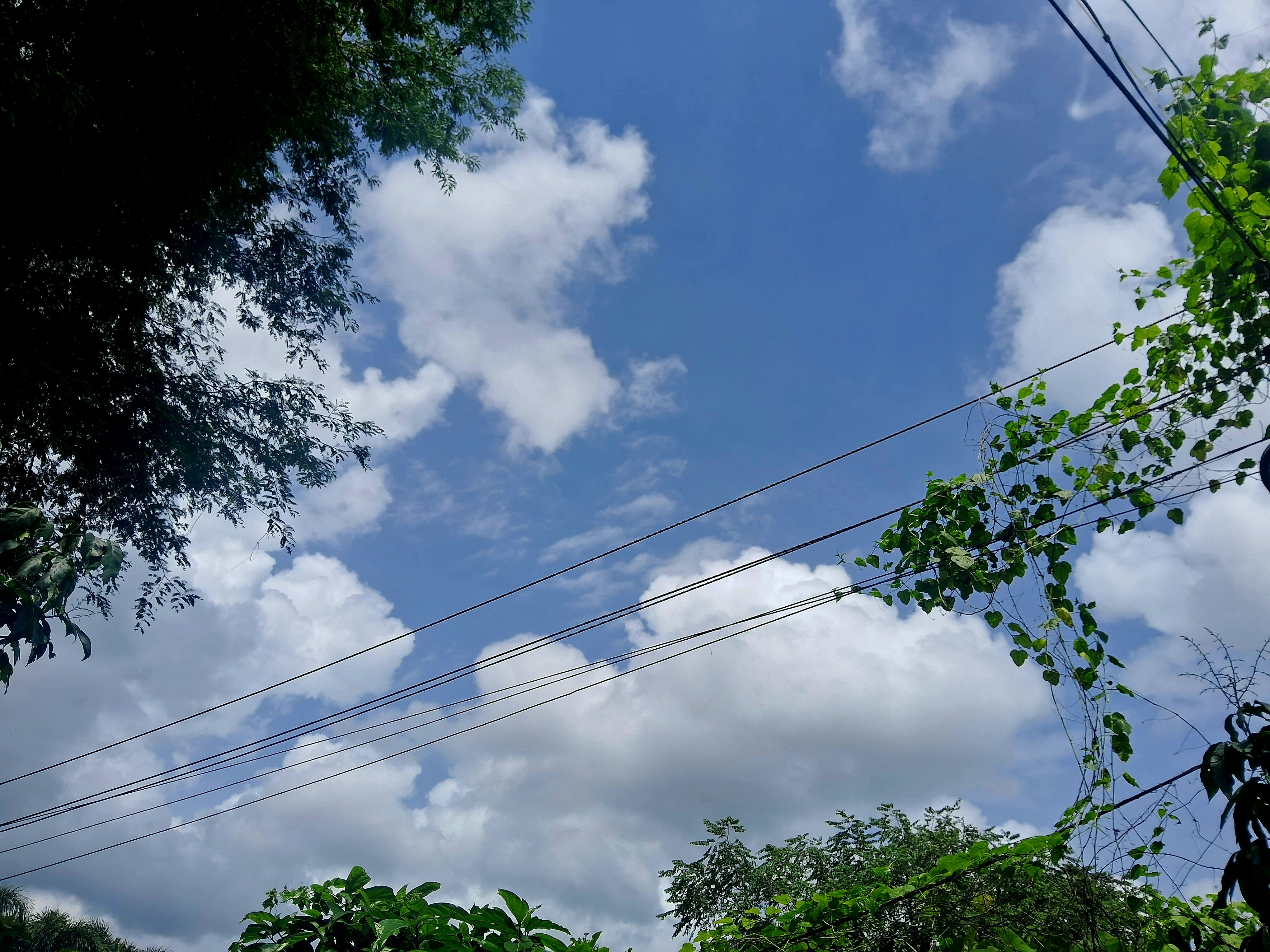 Photo by aadhu119