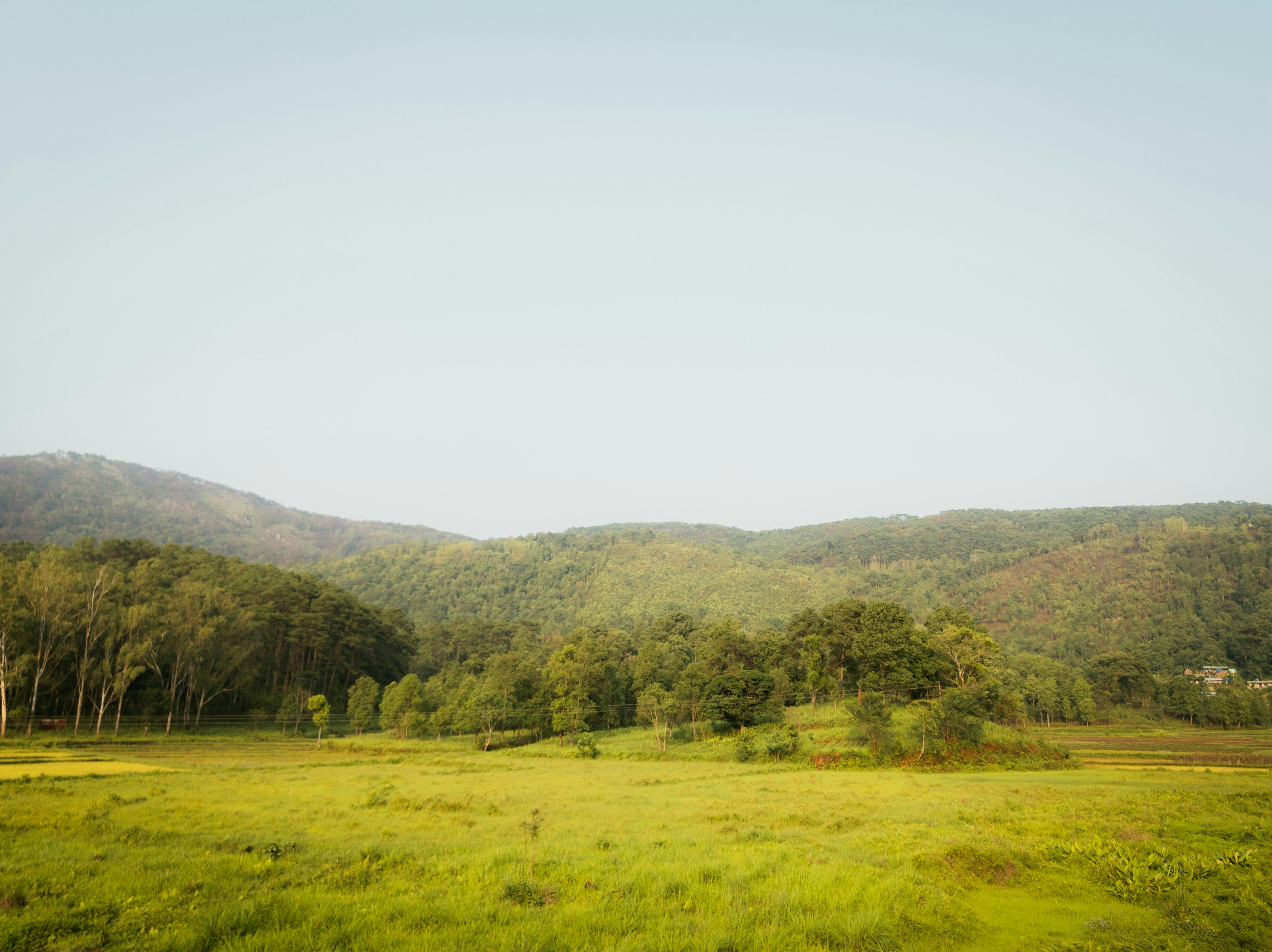 Photo by narzari_bhuban