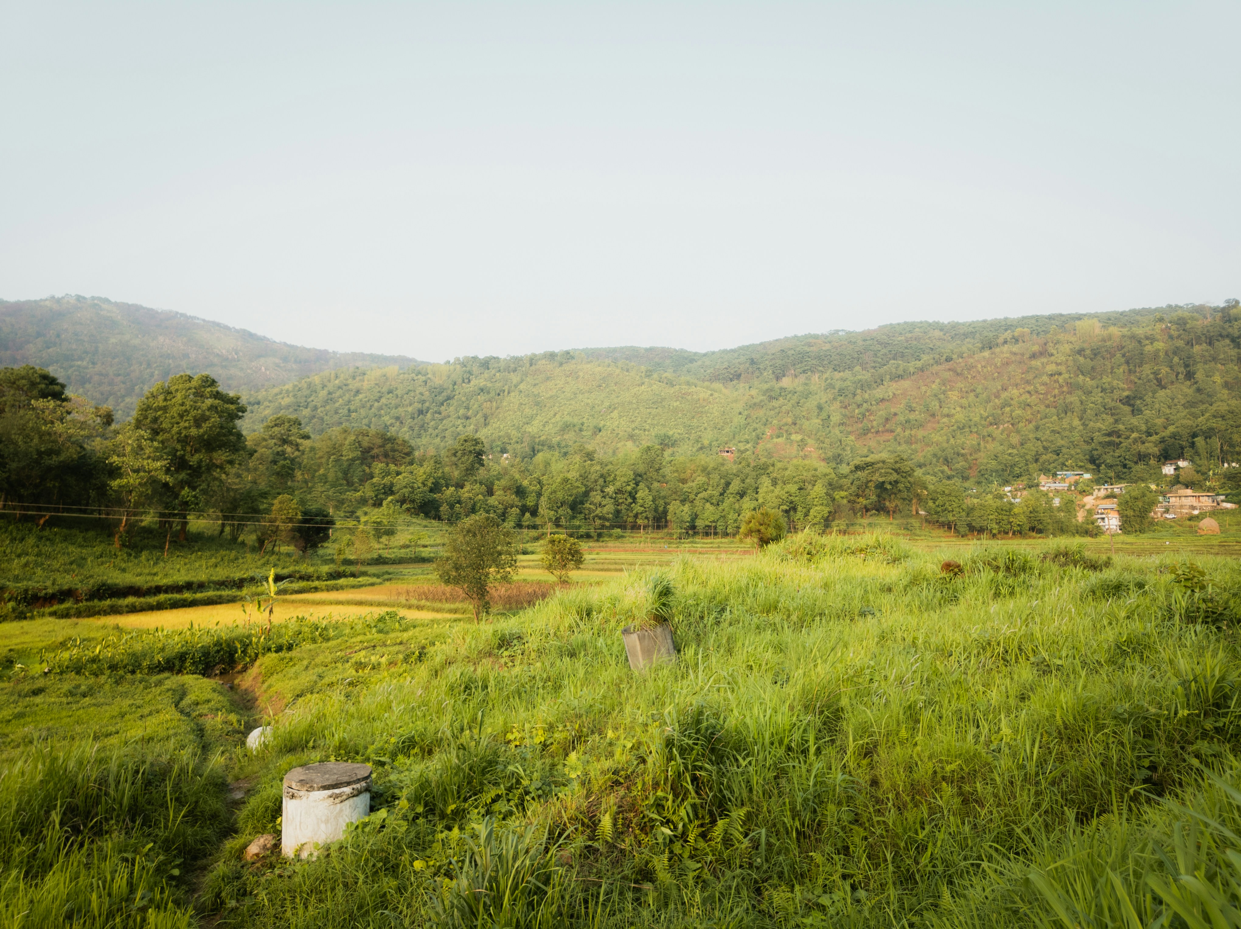 Photo by narzari_bhuban