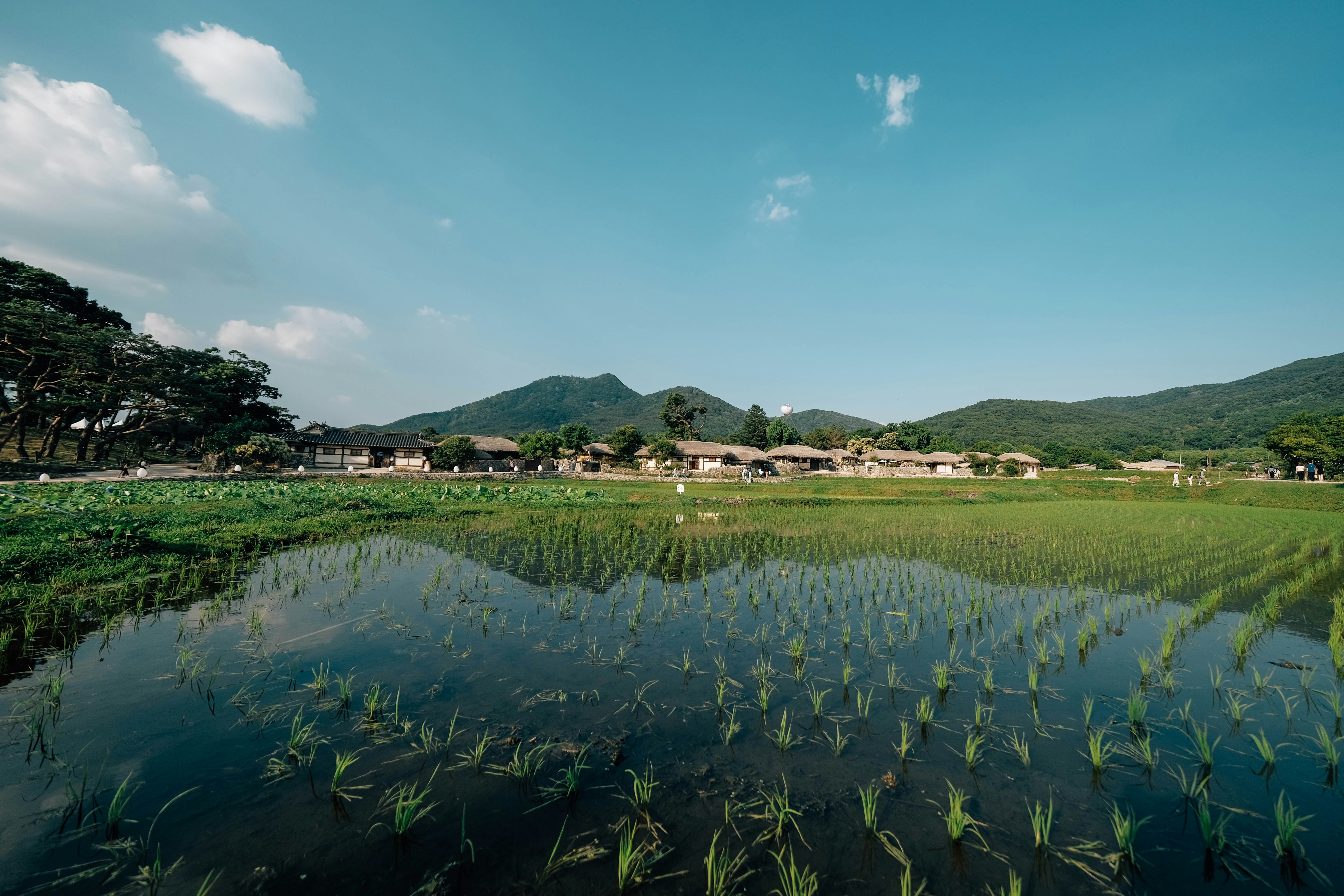 Photo by insungpandora