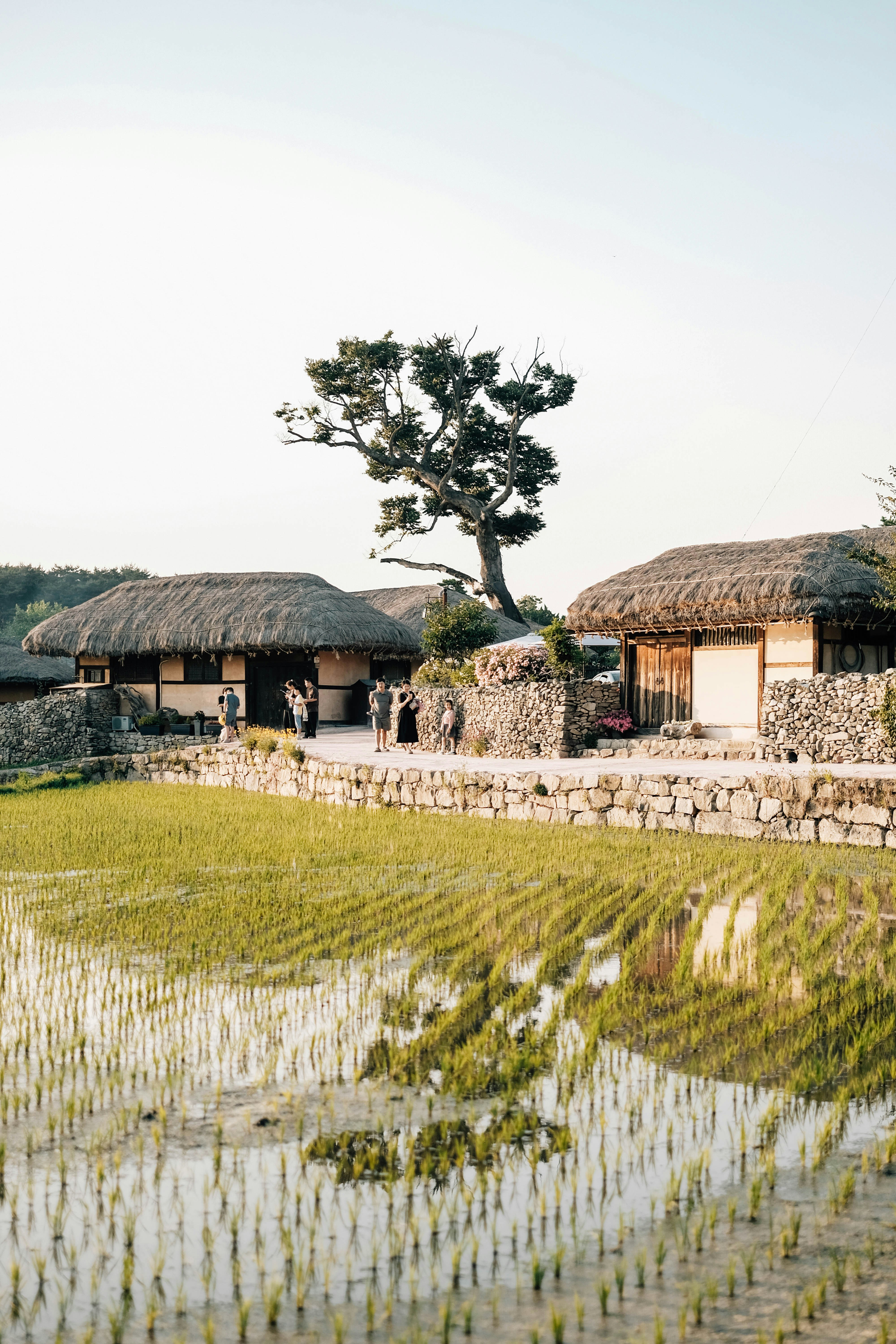 有梯田和传统民居的里山景观