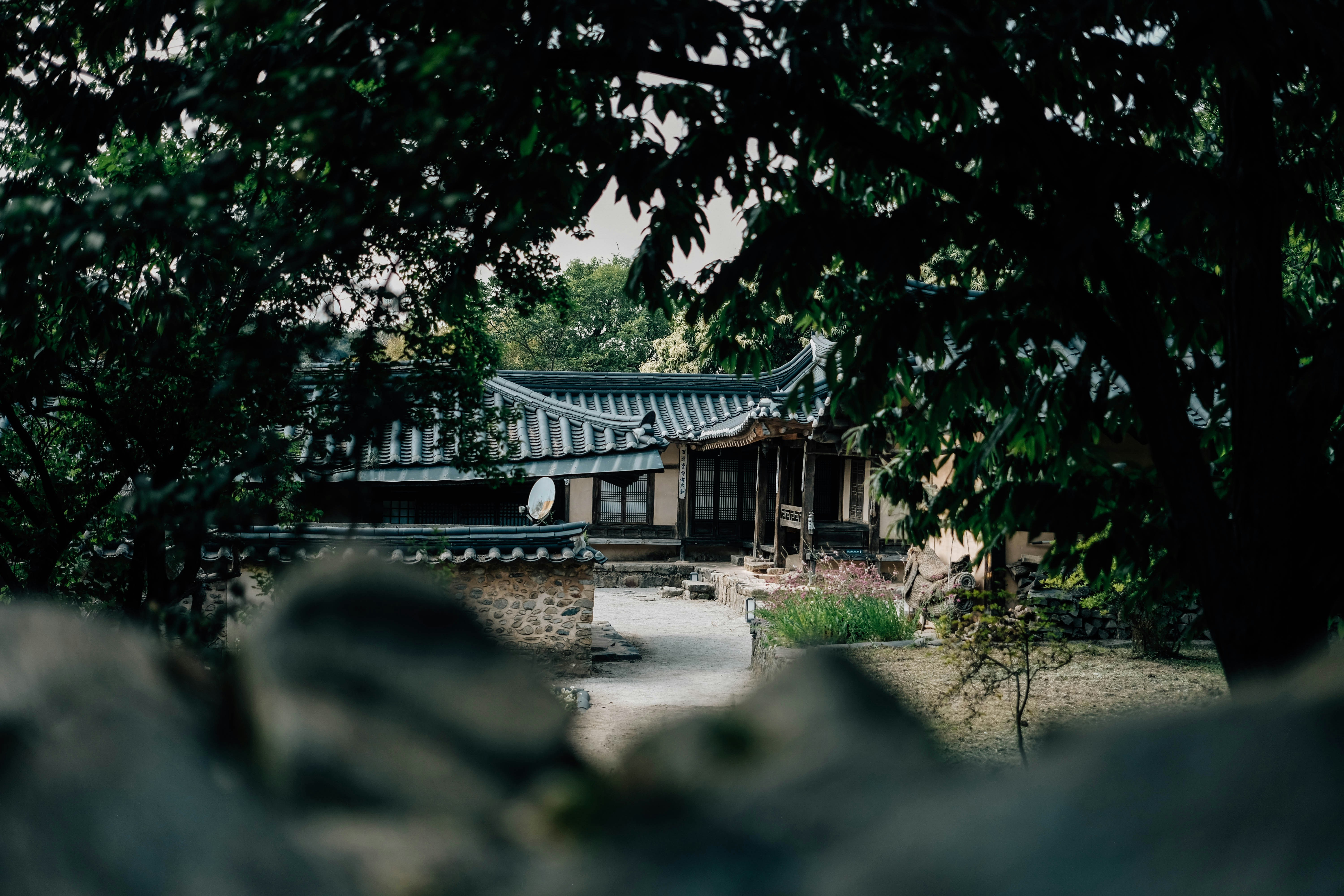 Photo by insungpandora