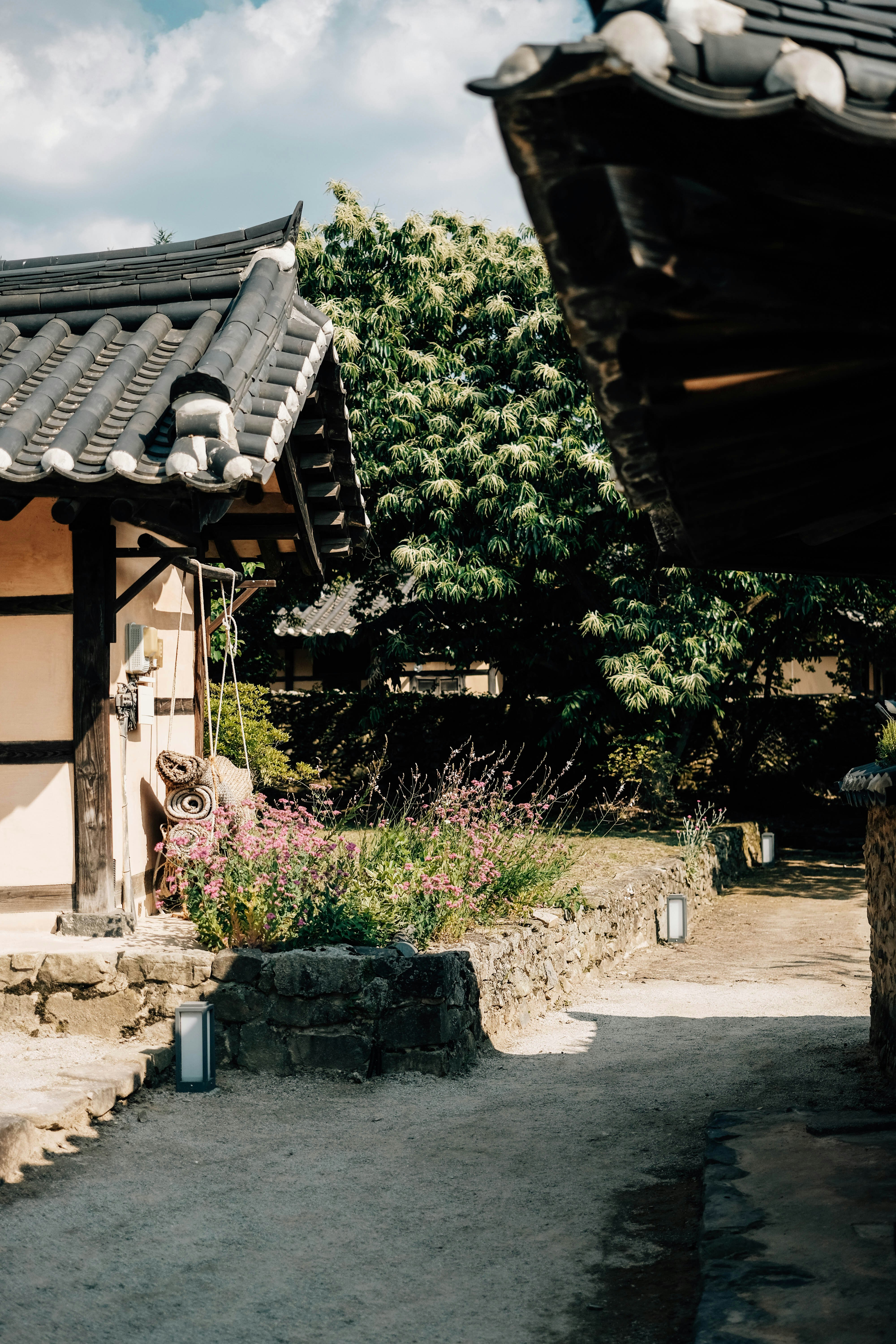 Photo by insungpandora