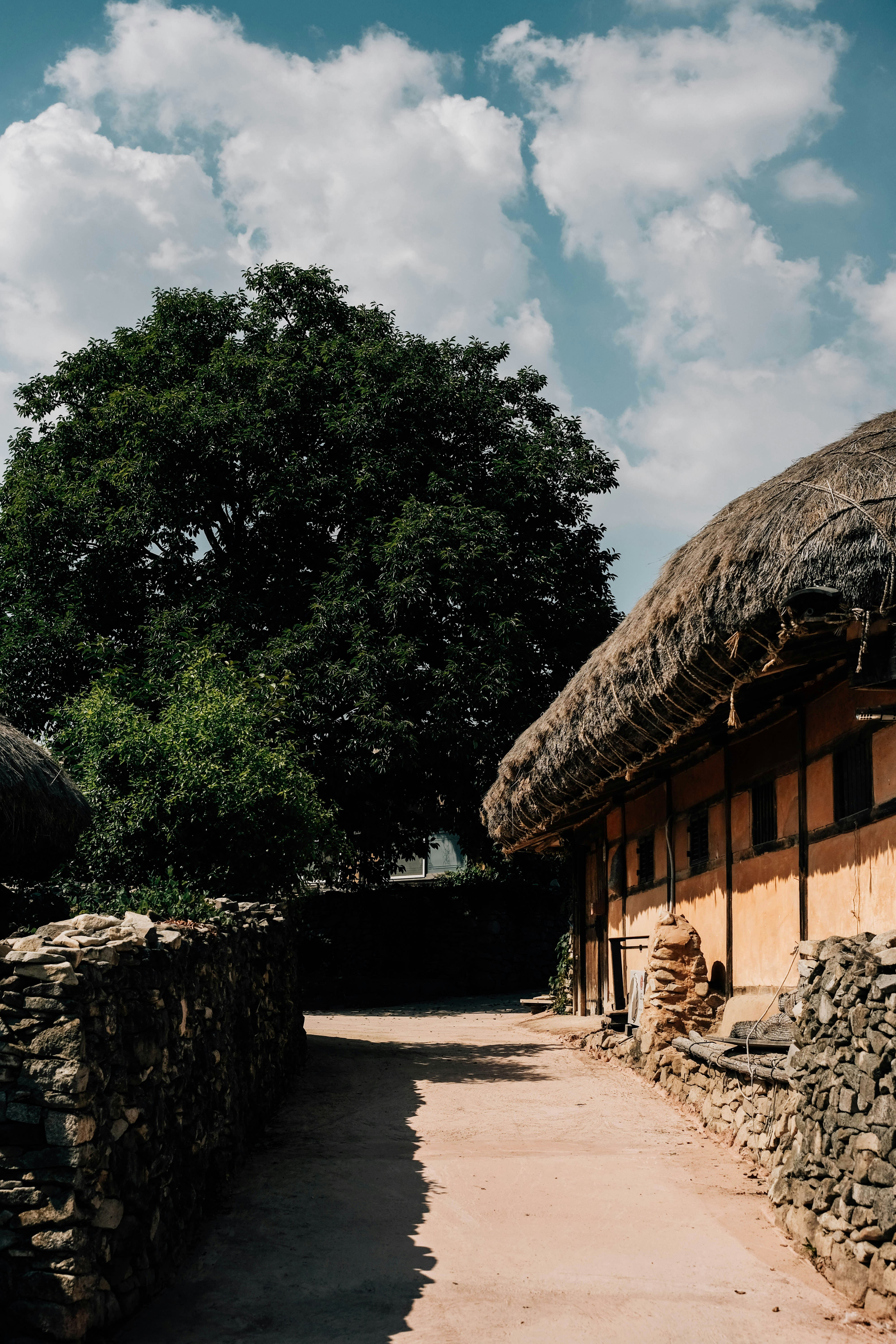 Photo by insungpandora