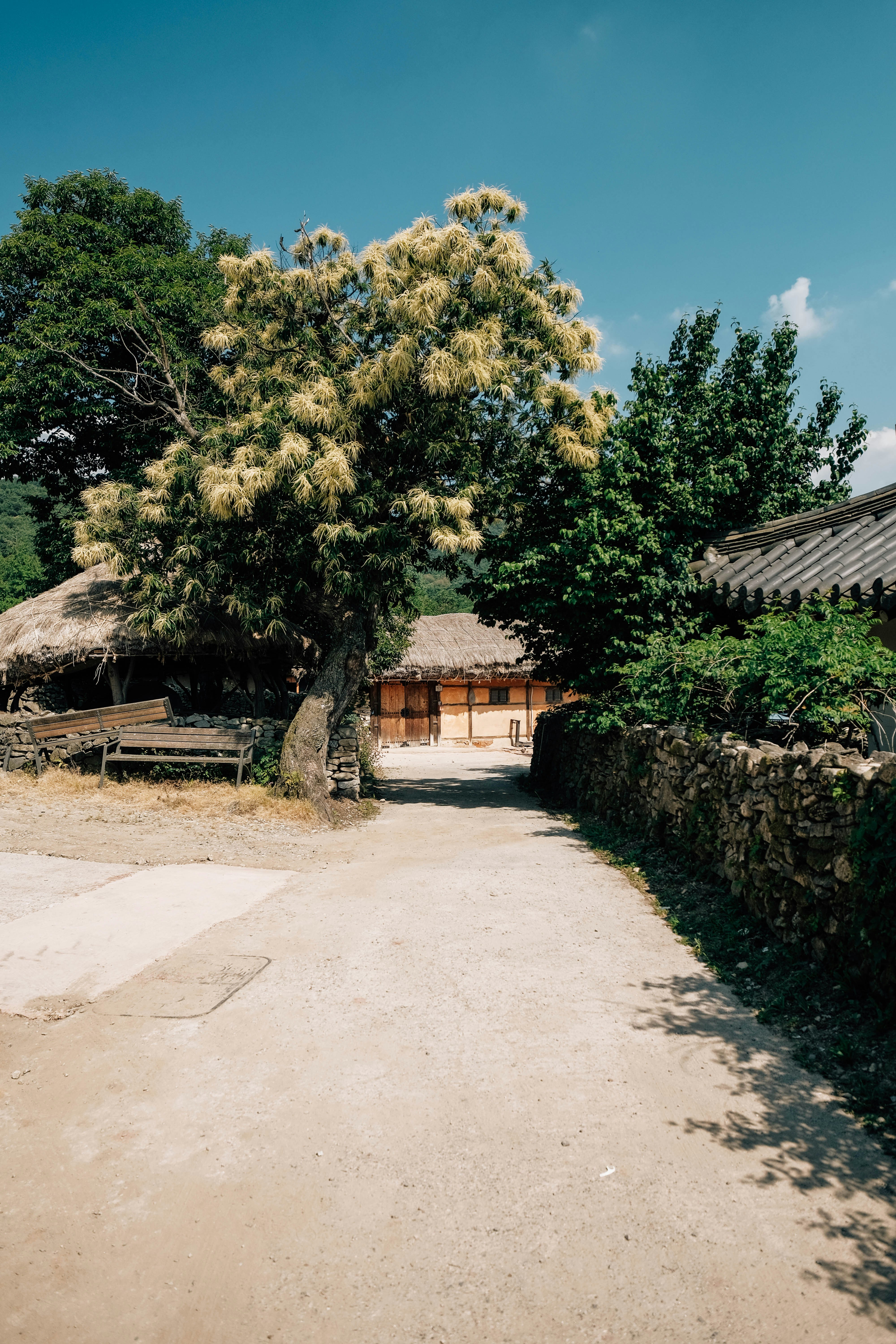 Photo by insungpandora