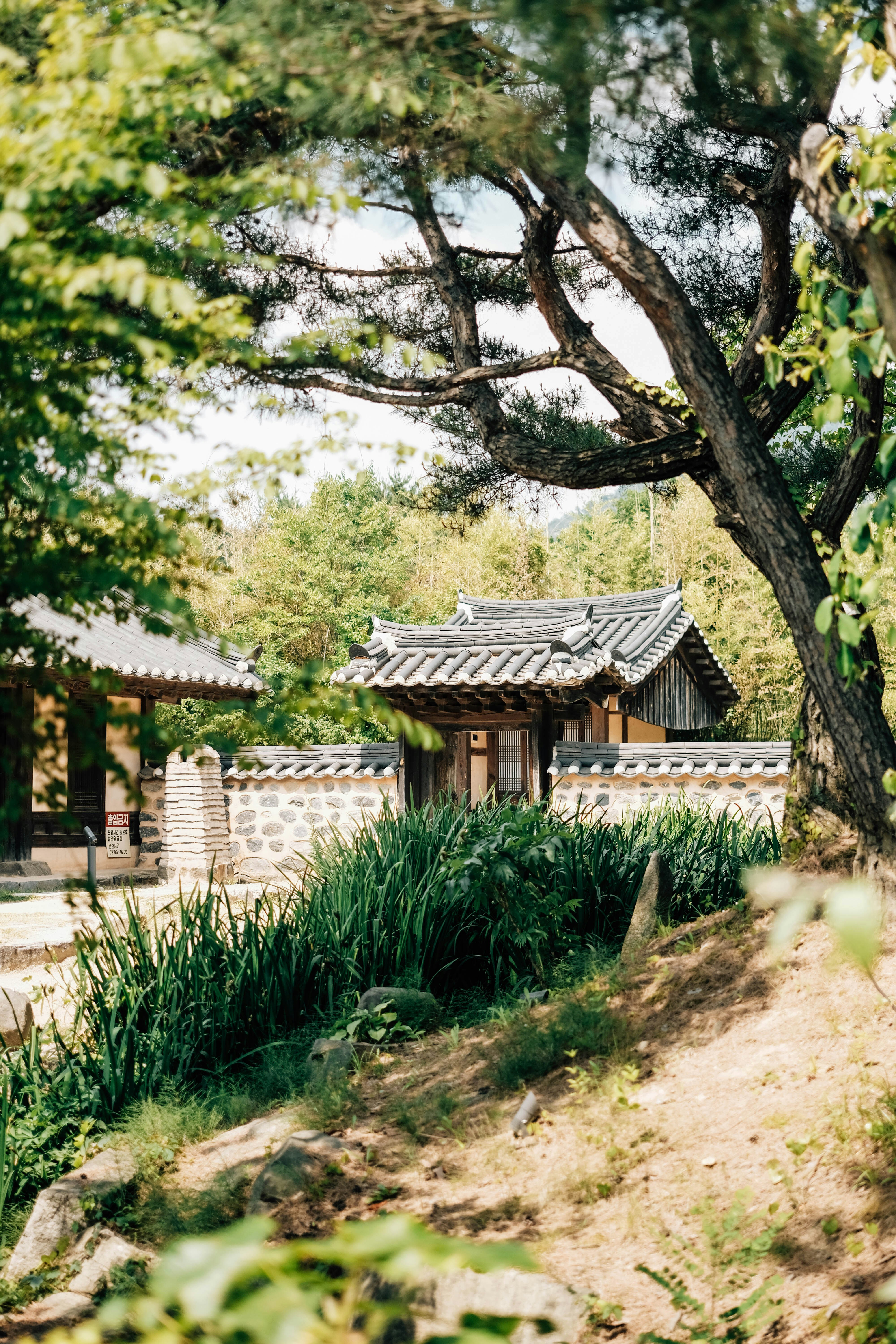 Photo by insungpandora