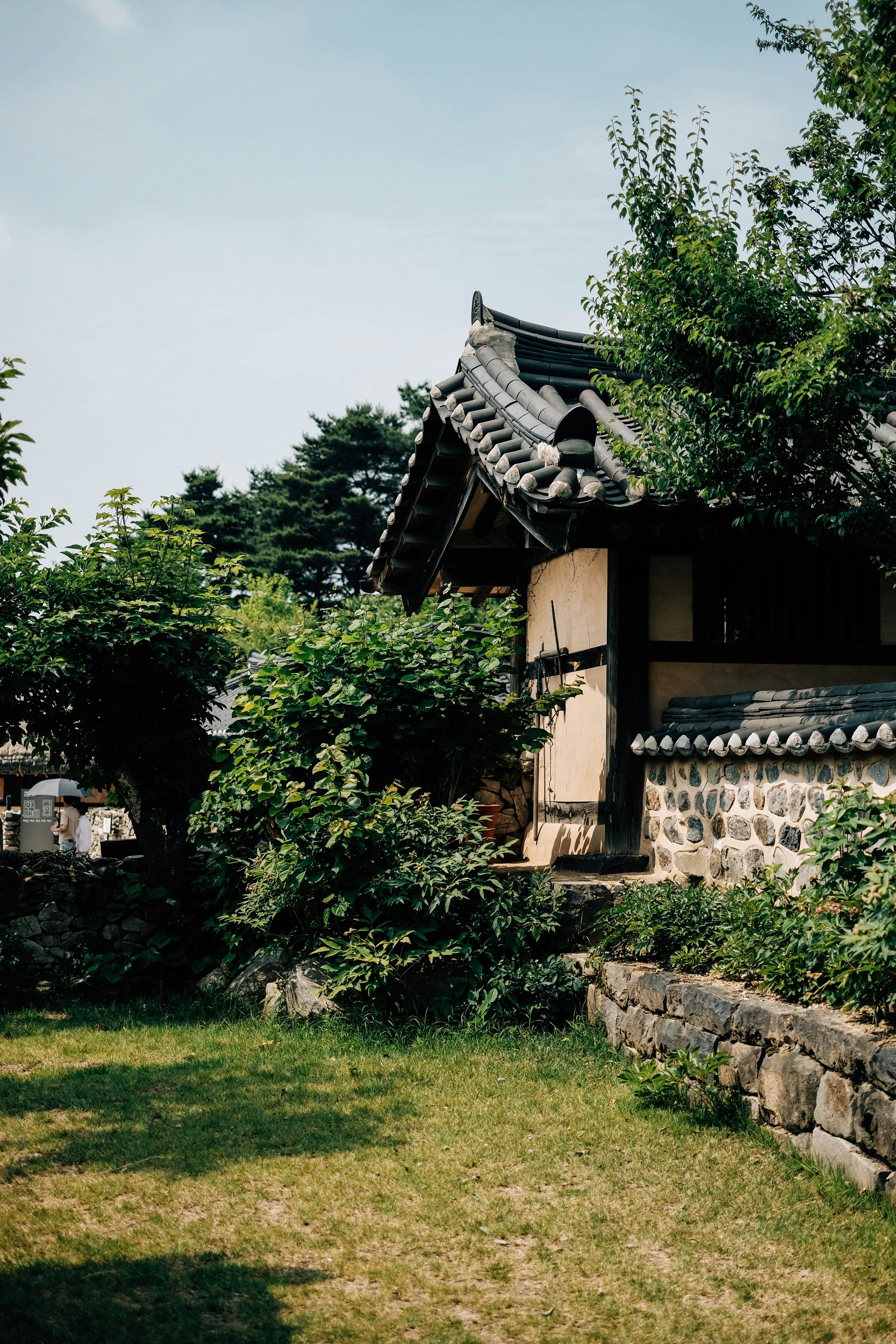 Photo by insungpandora