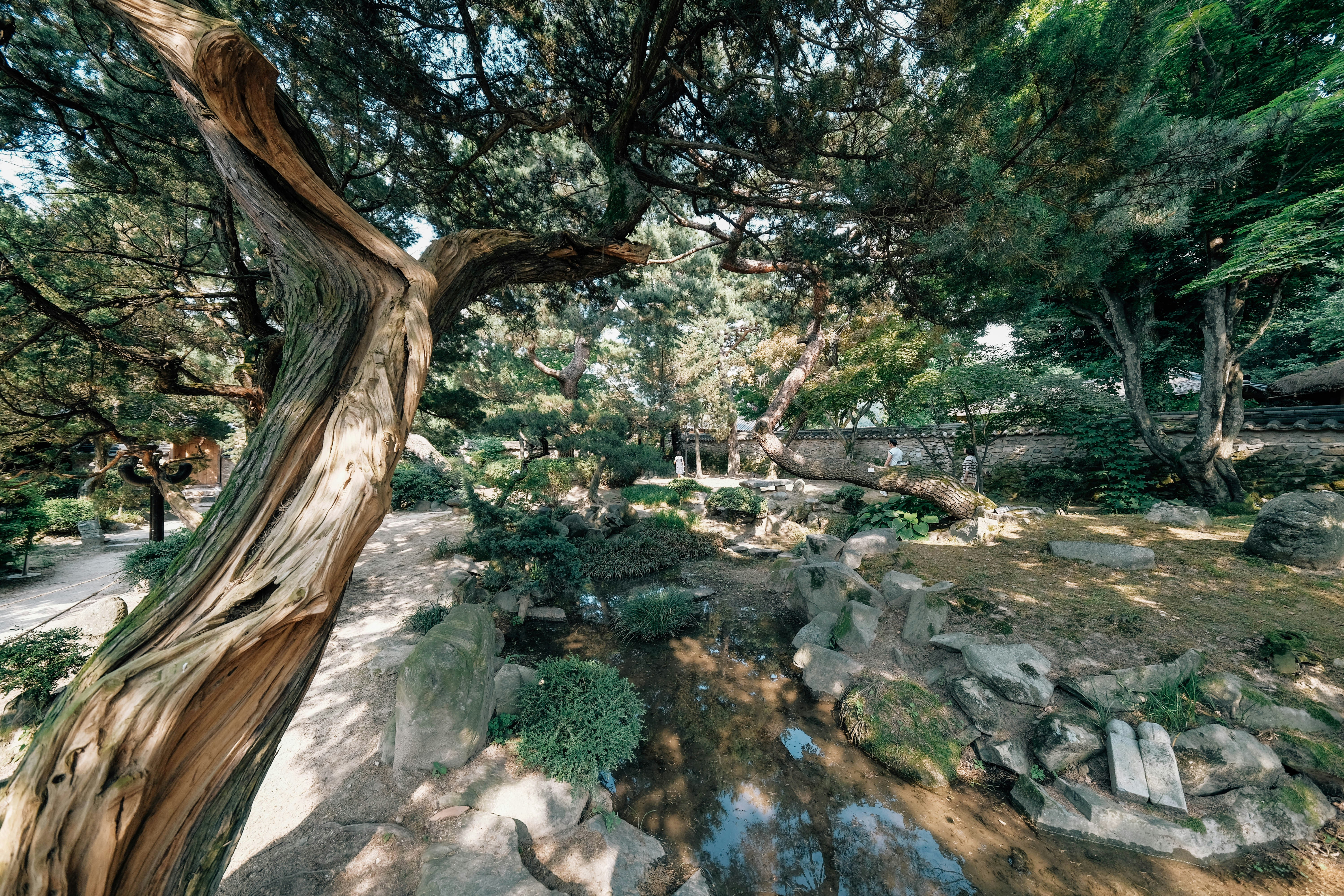 제주 여행