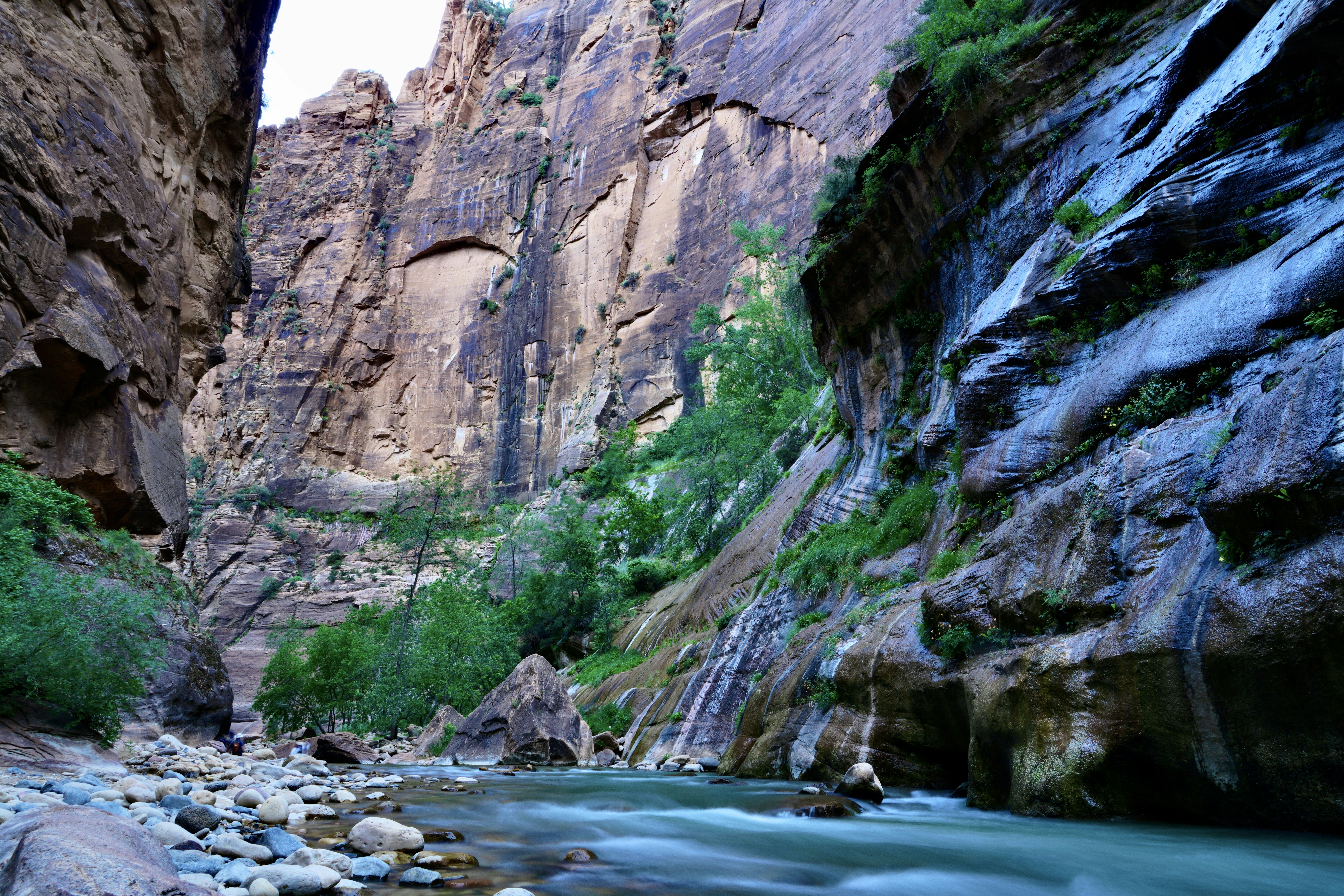 Photo by extralongexposure